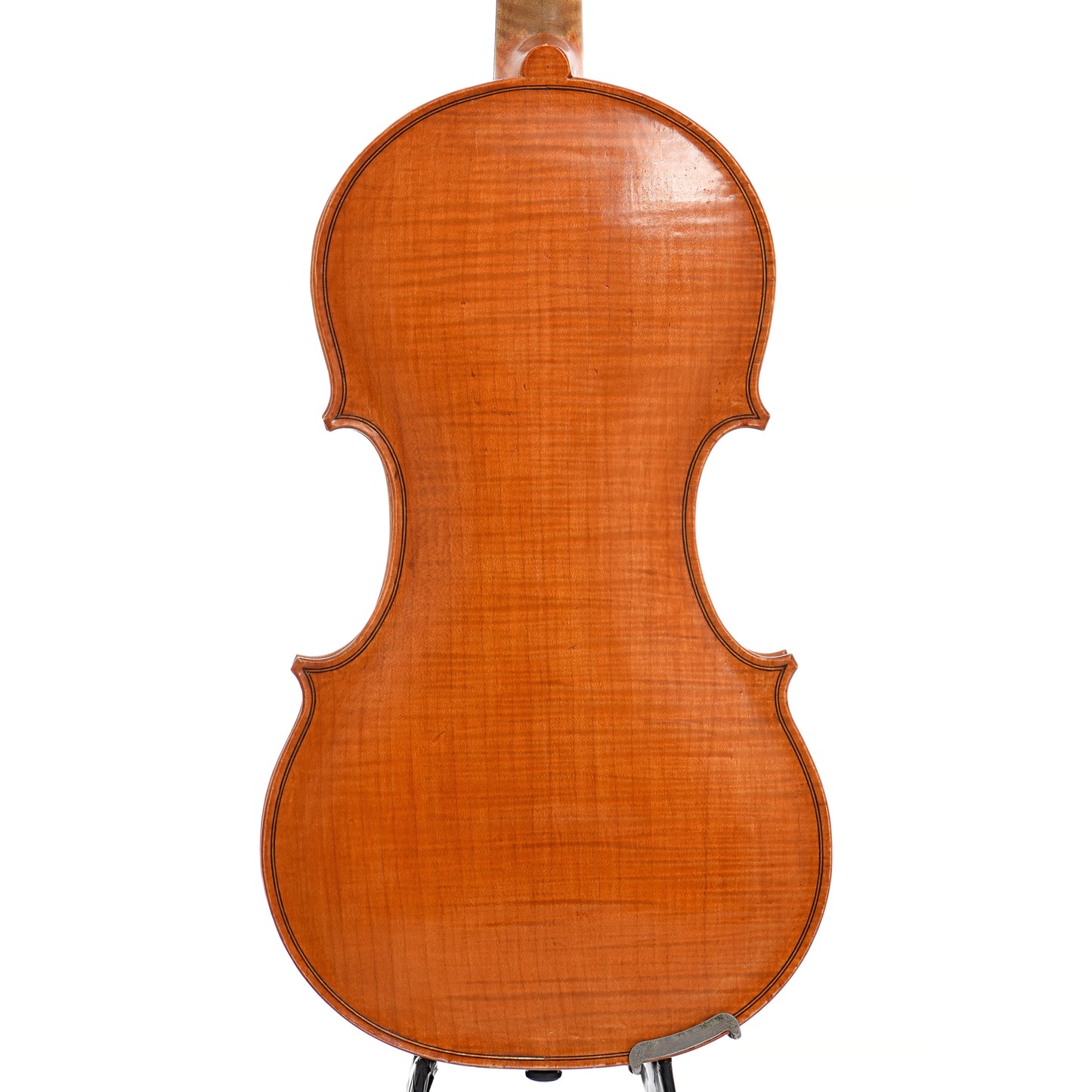 back of Barry Dudley 5-String Violin (2010)