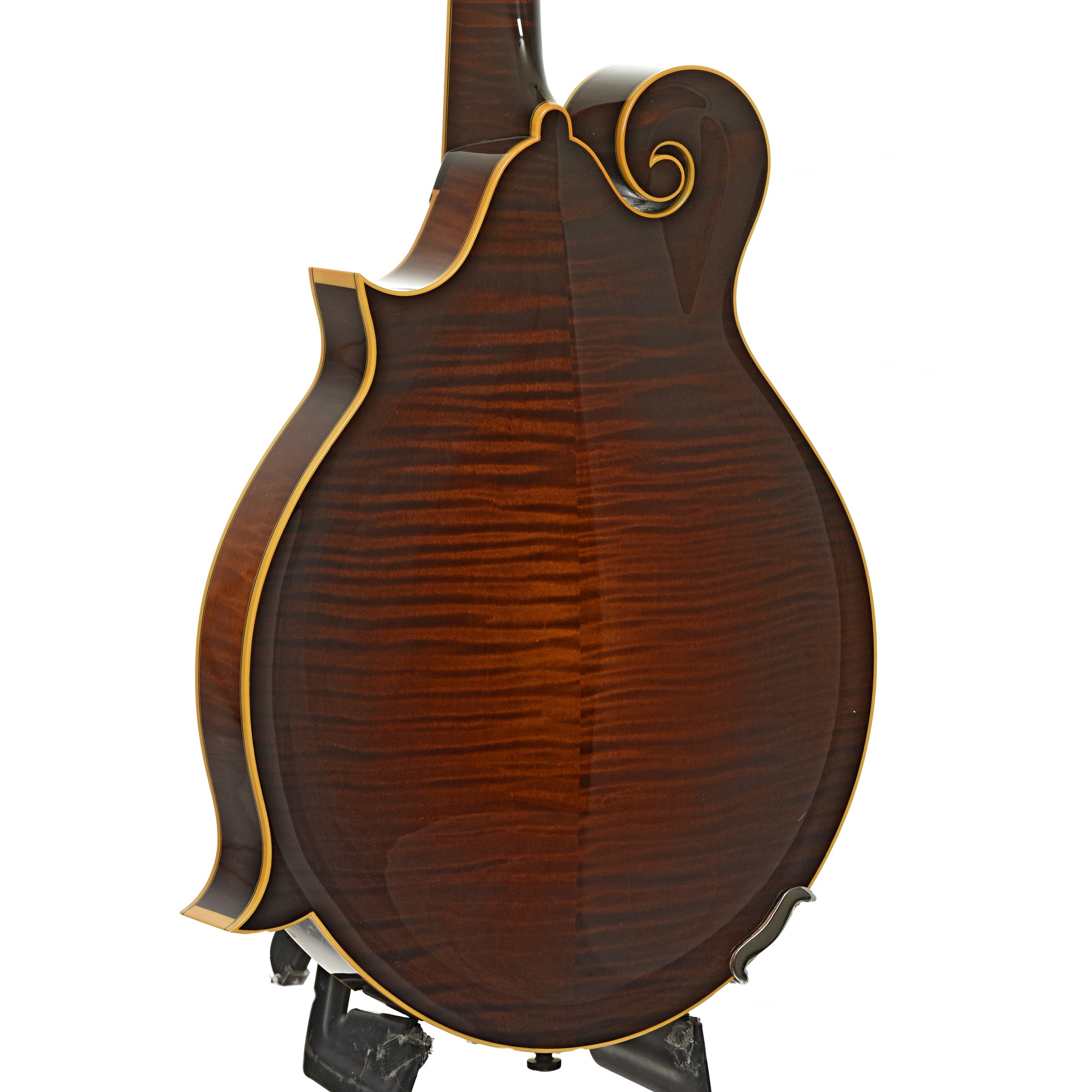Back and side of Collings MF-5 Varnish Mandolin 
