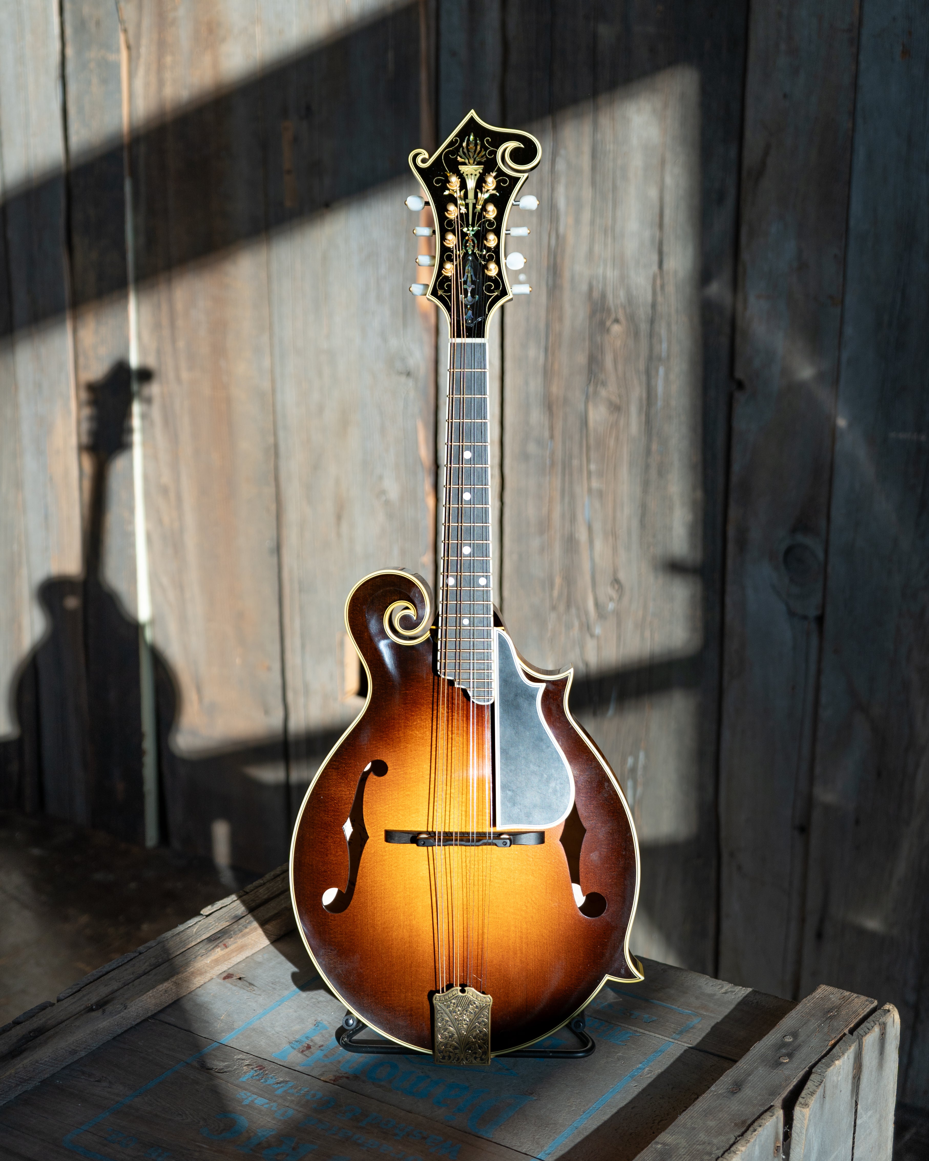 Ellis Instruments Ellis F-5 Reserve Mandolin (2016) – Elderly Instruments