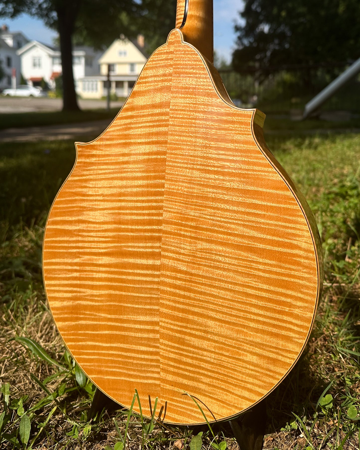 Showroom photo of Eastman 904D 2-Point Mandolin (2006)