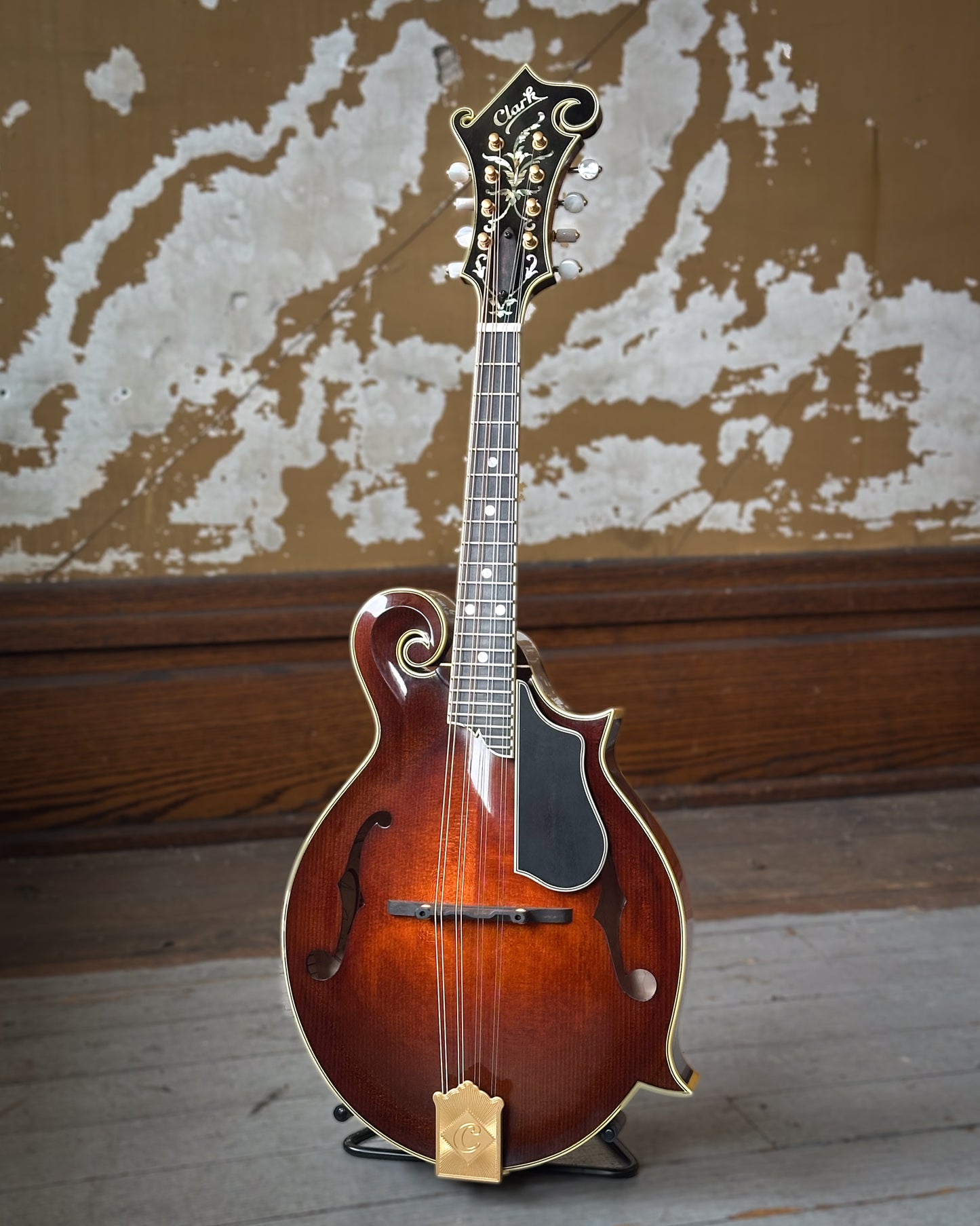 Showroom photo of Clark F-5 Mandolin (2018)