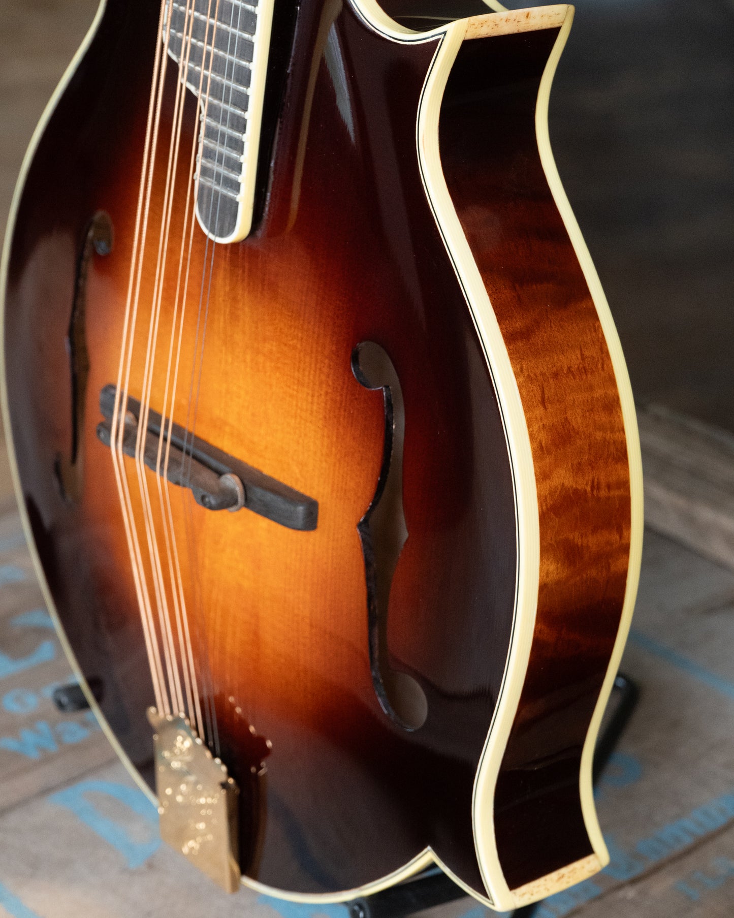 Showroom photo of Triggs H-5 Mandola (2023)