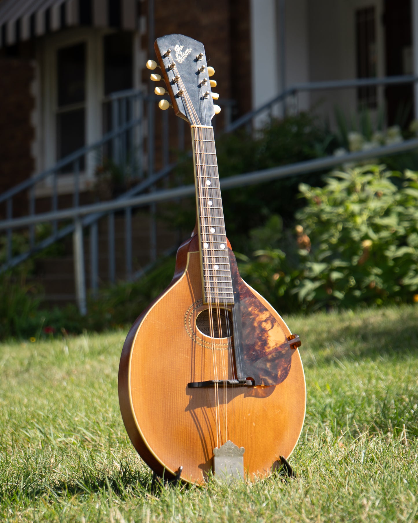 Showroom photo of Gibson A-1 Mandolin (1913)