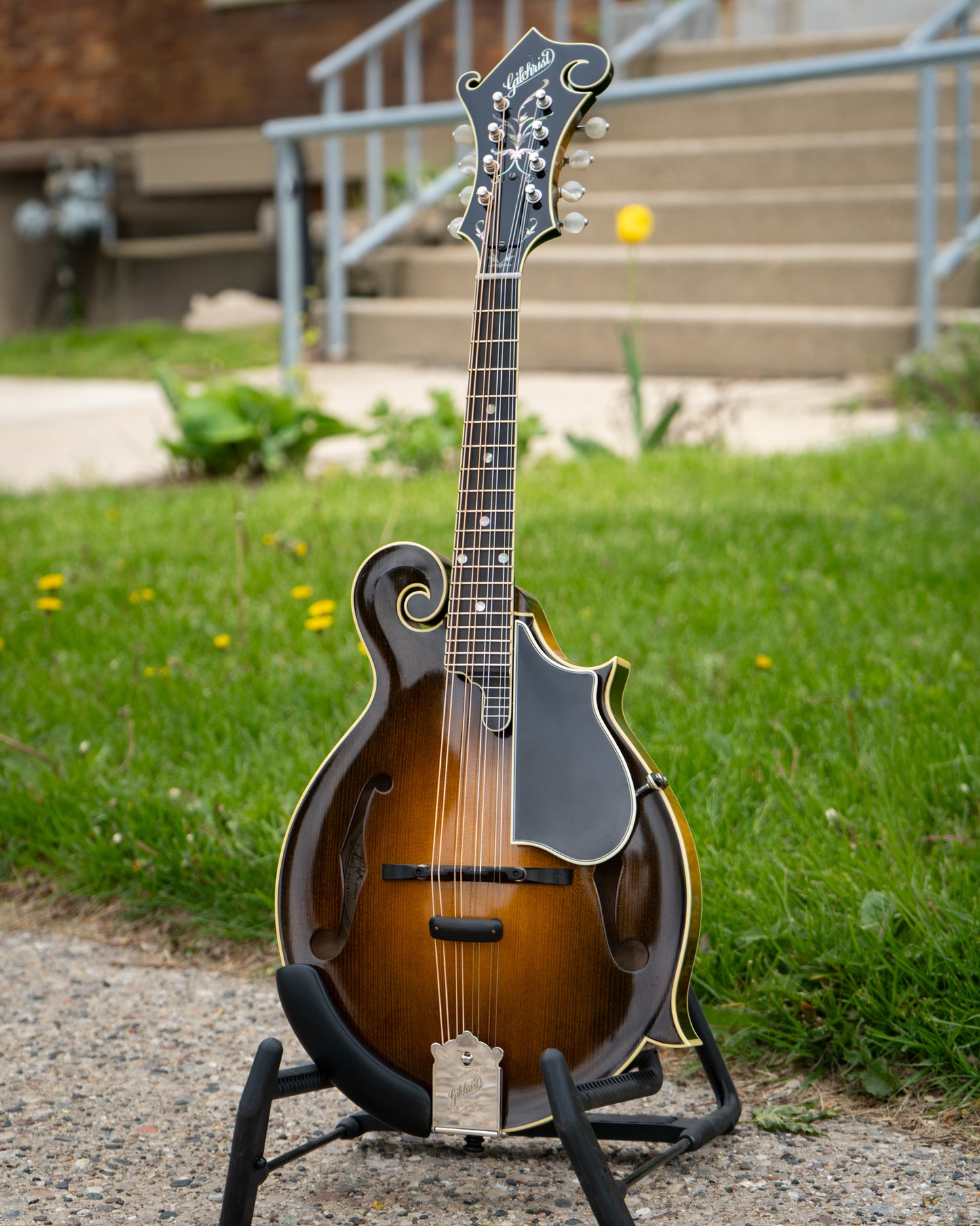 Showroom photo of Gilchrist Model 5 Mandolin (2016)