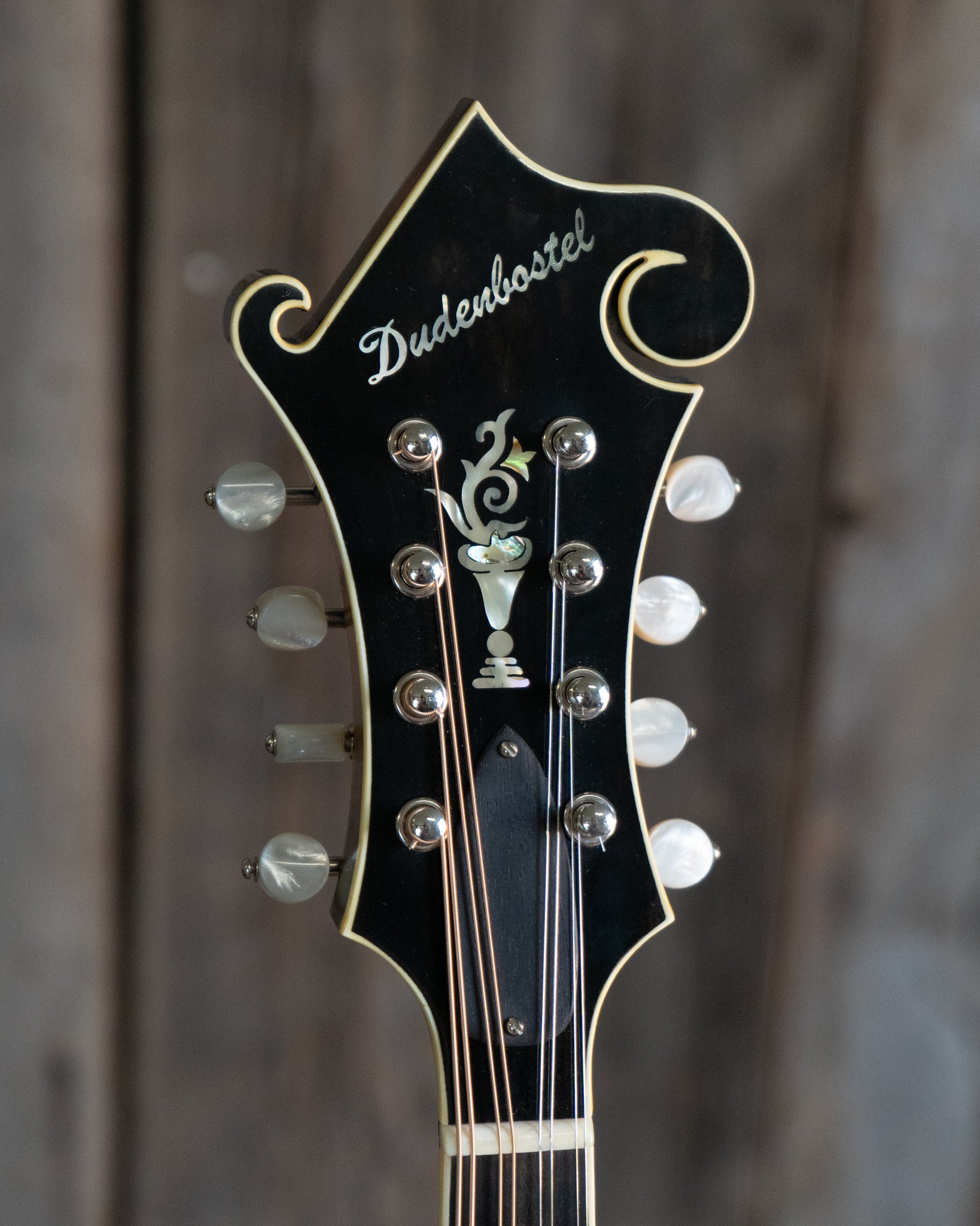 Showroom photo of Dudenbostel F-5 Mandolin (2015)