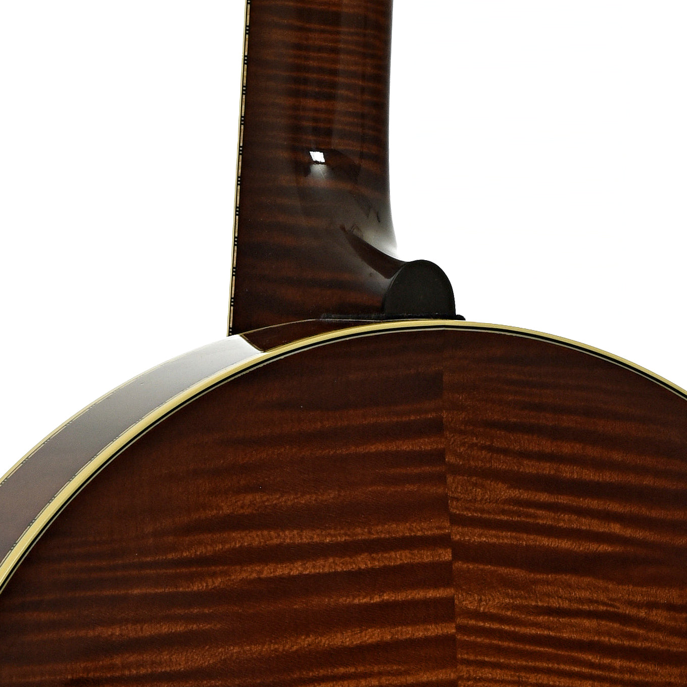 Neck joint of Prucha Bat Custom Resonator Banjo