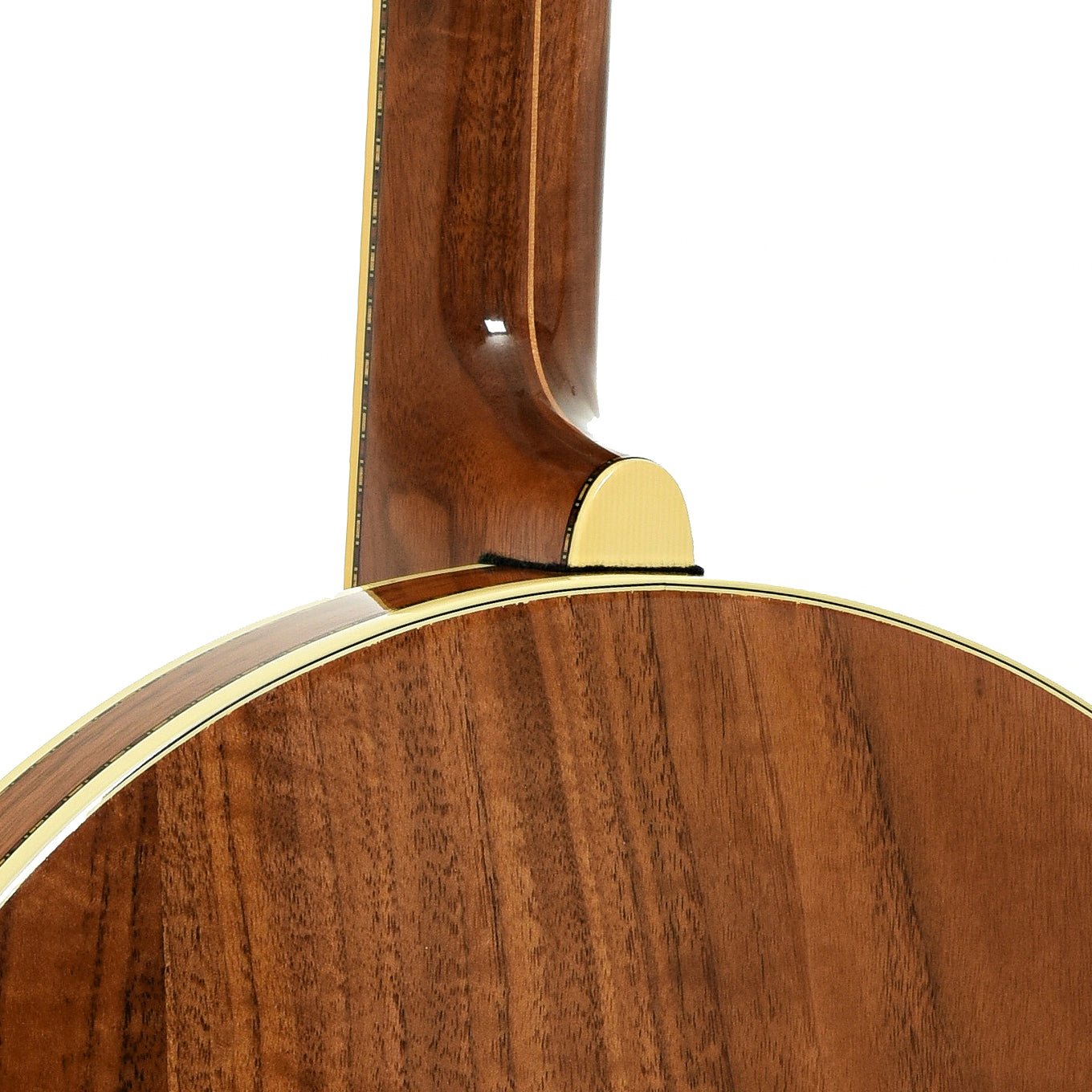 Neck joint of Stelling Golden Cross Walnut Resonator Banjo