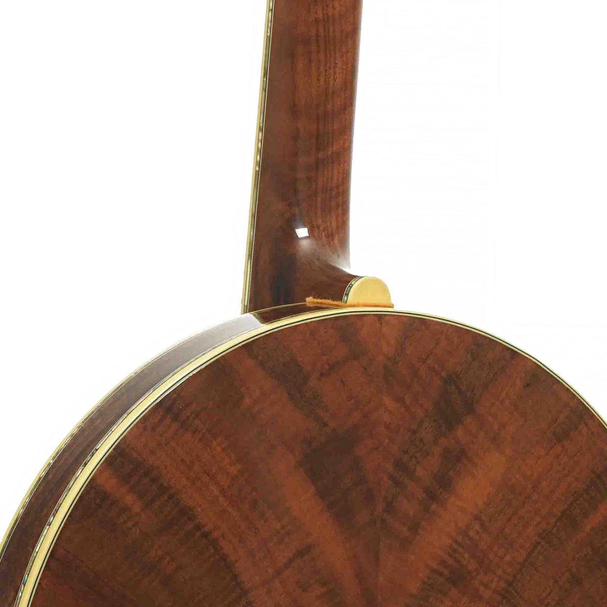 Heel and Resonator of Stelling Staghorn Resonator Banjo