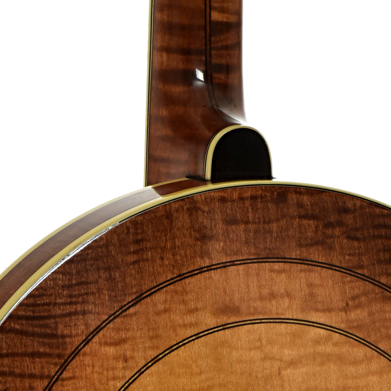 Neck joint of Ome Juggernaut Resonator Banjo
