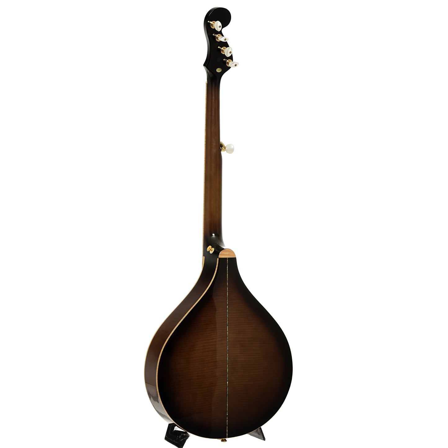 Full back and side of  Gold Tone Pat Cloud Banjola 