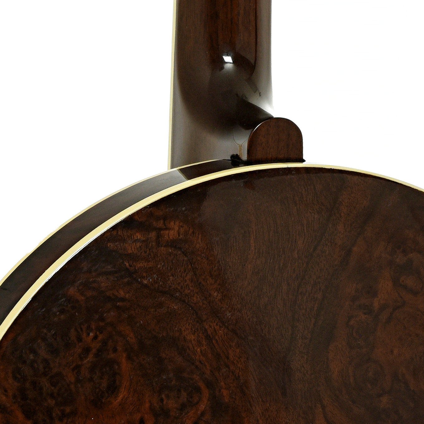 Neck joint of Hatfield Buckdancer Custom Firefighter Resonator Banjo