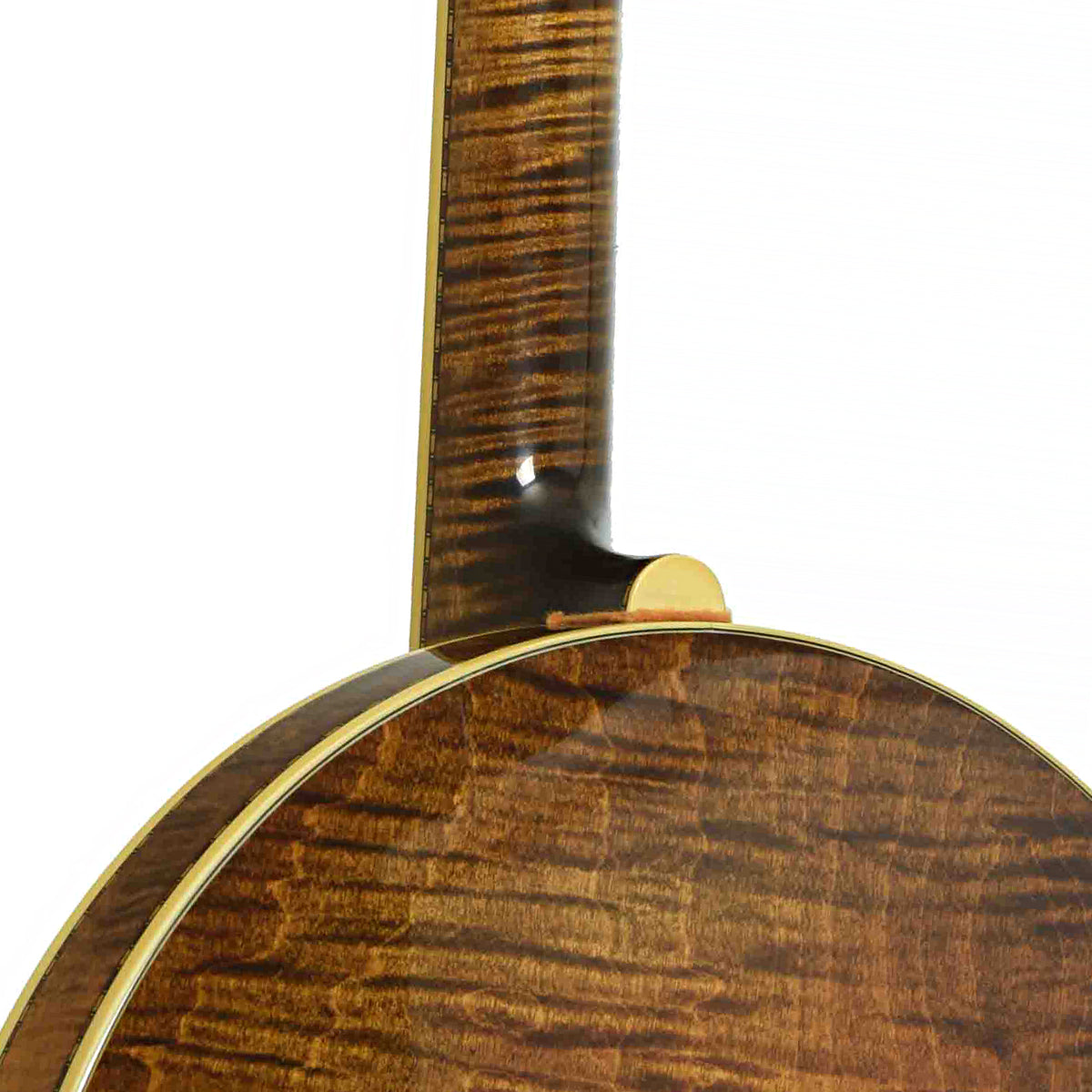 Stelling Golden Cross Resonator Banjo (1997)