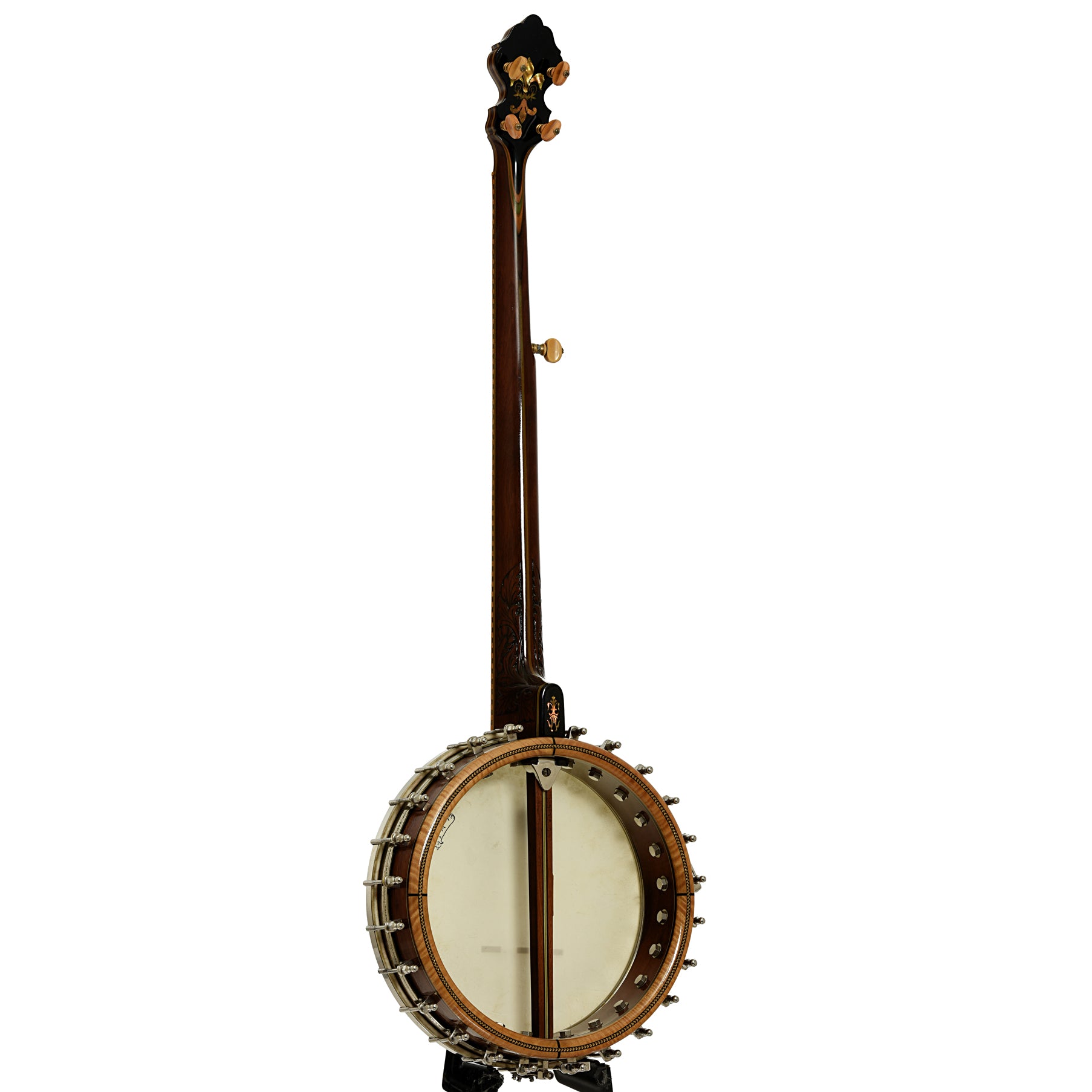 Full back ansd side of Orpheum No.3  5-String Conversion Banjo