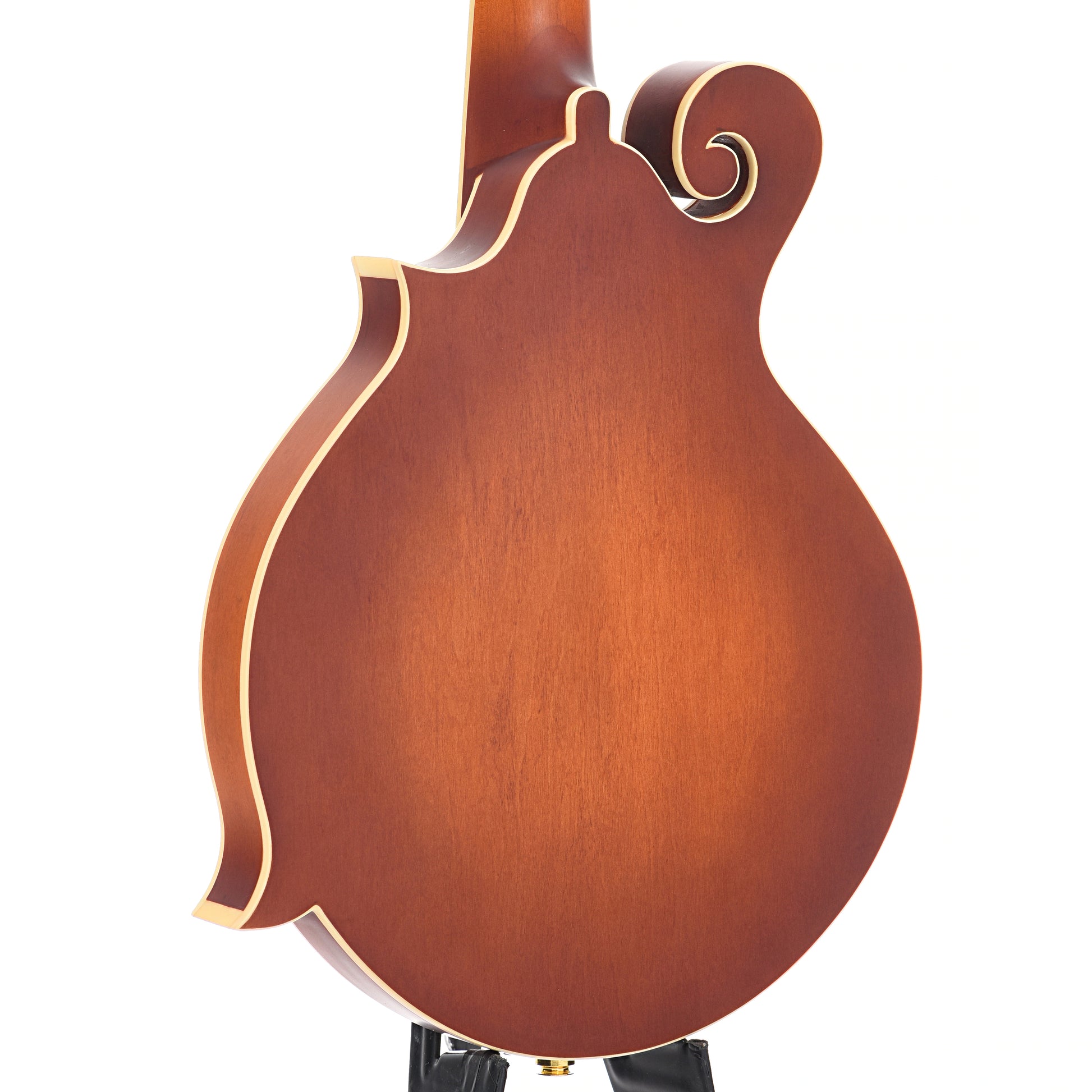 Back and side of Gold Tone F-10 10-String Mandolin 