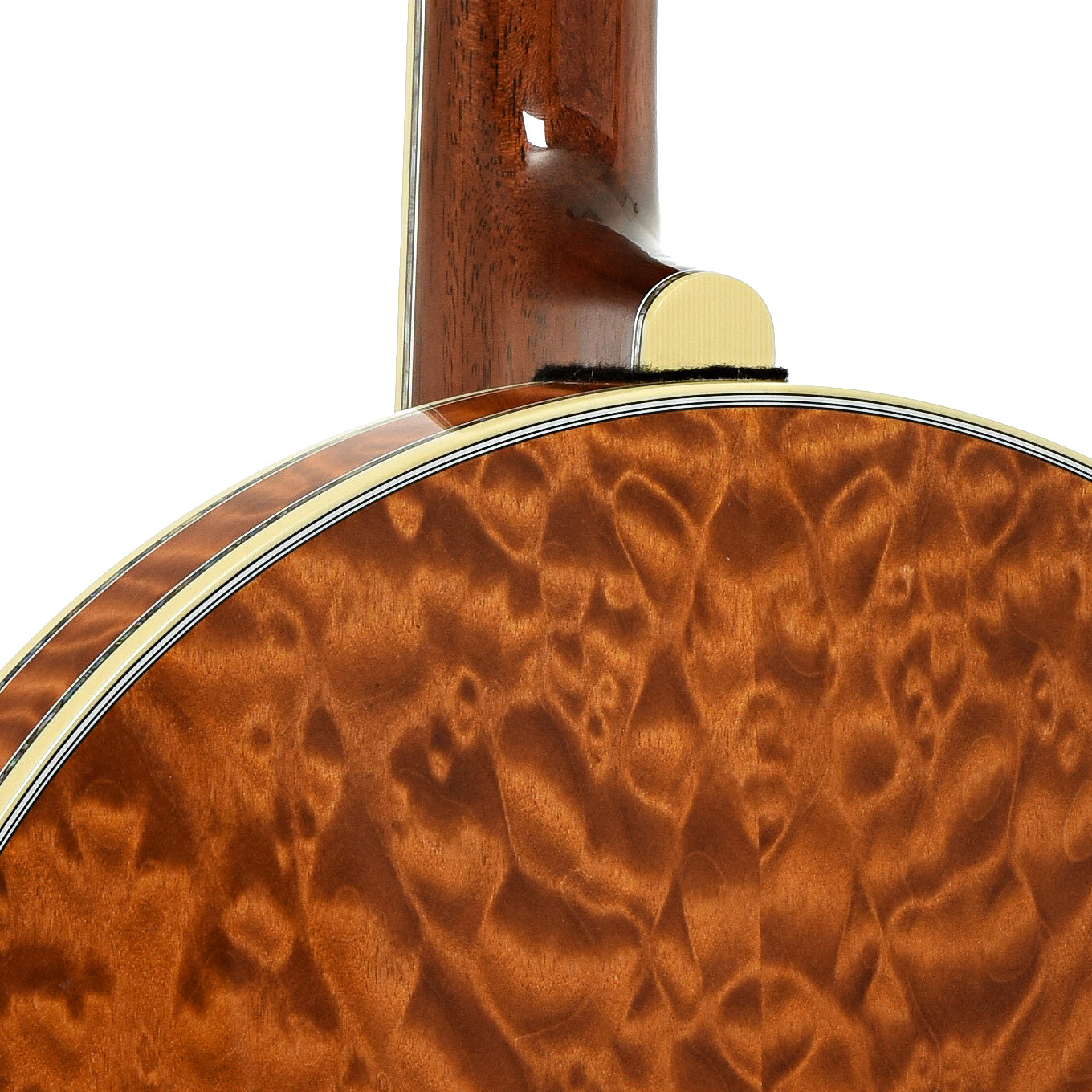 neck joint of Deering Tony Trischka Golden Clipper 