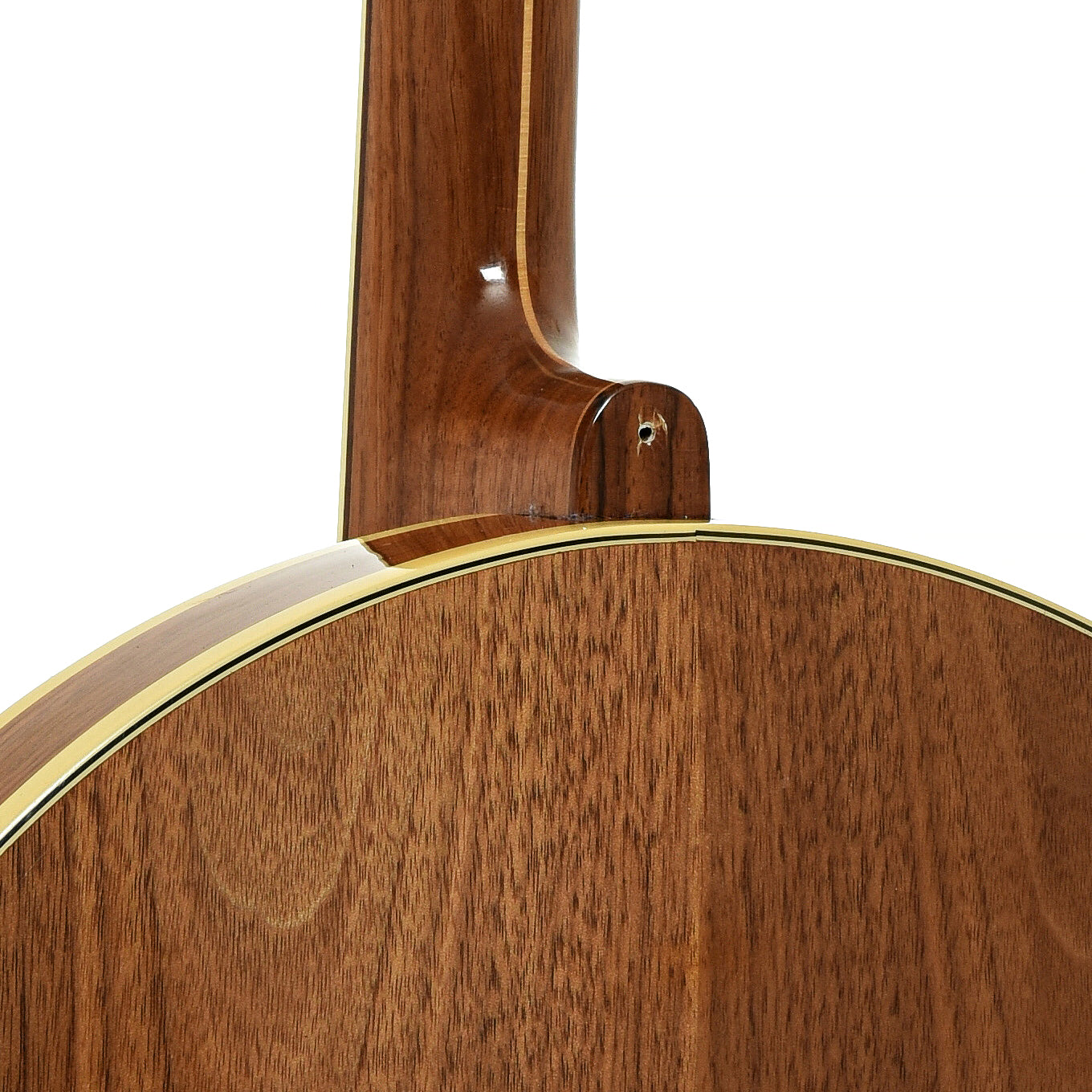 Neck joint of Fender Artist Tenor Banjo