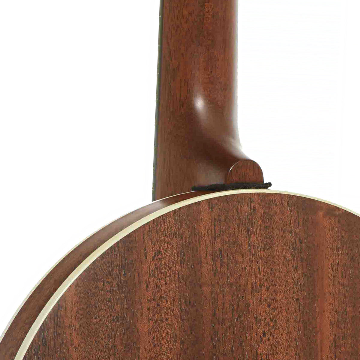 Heel of Deering Boston 6 Banjo-Guitar