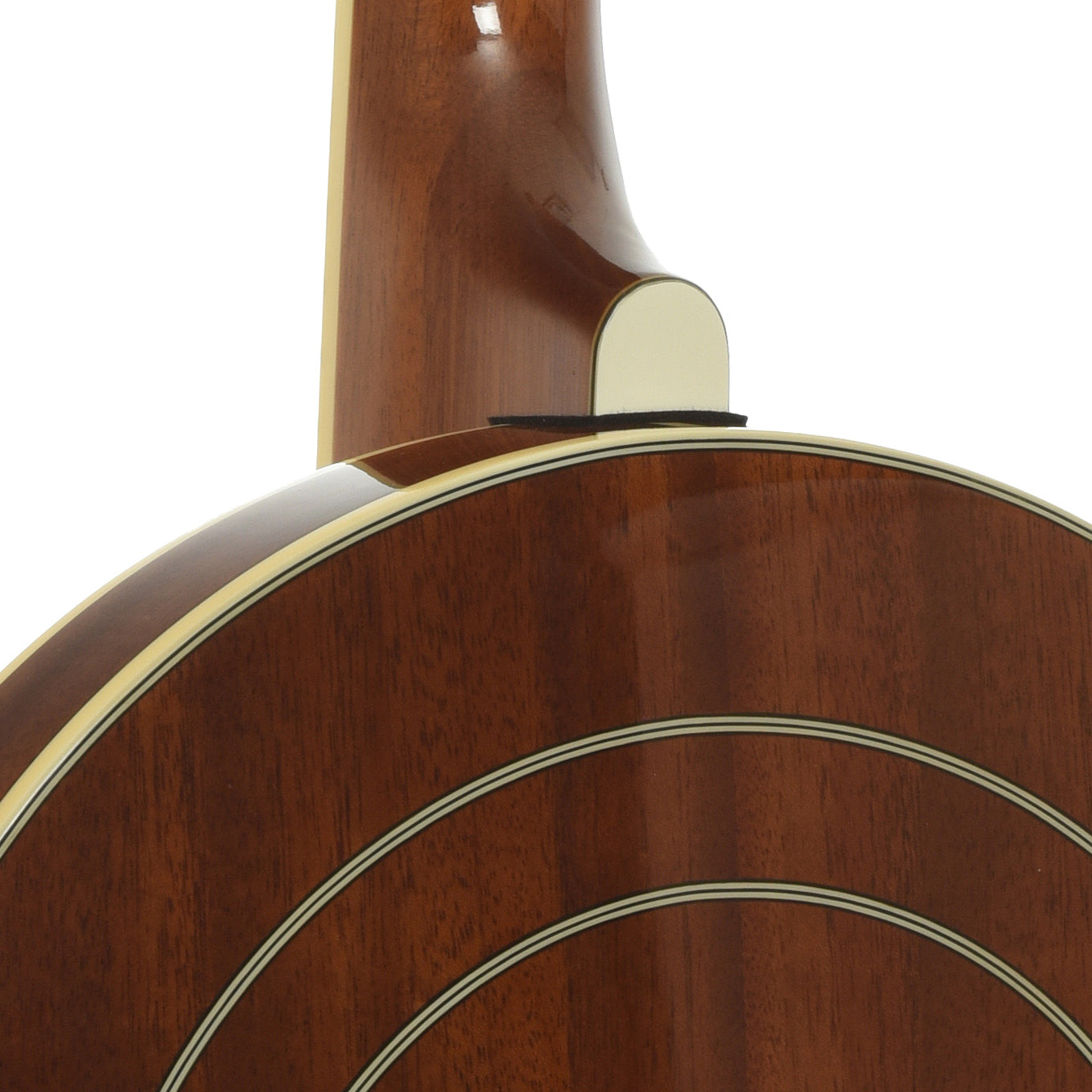 Neck joint of Epiphone Mastertone Classic Resonator Banjo
