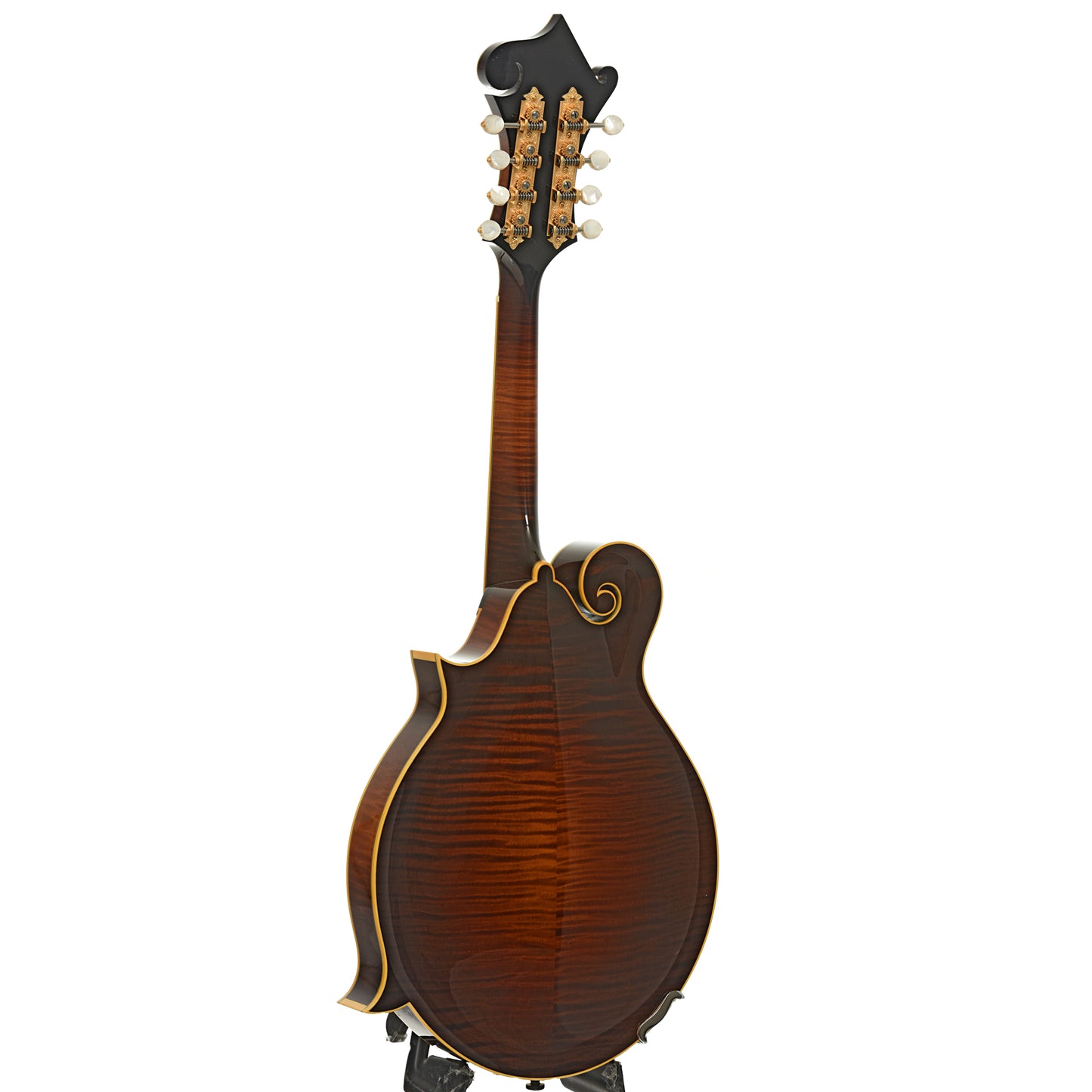 Full back and side of Collings MF-5 Varnish Mandolin 