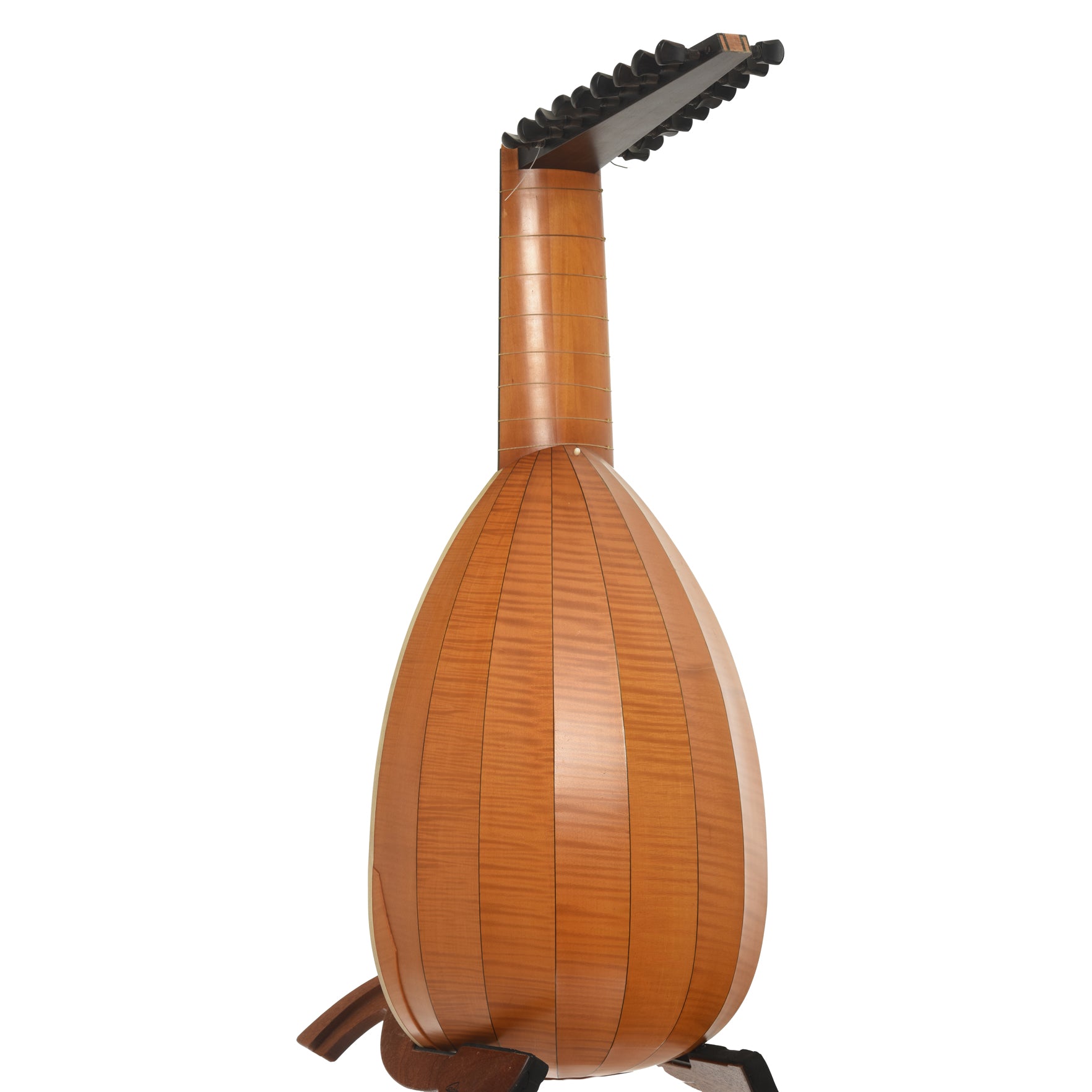 Full back and side of James P. North 20-String Lute 