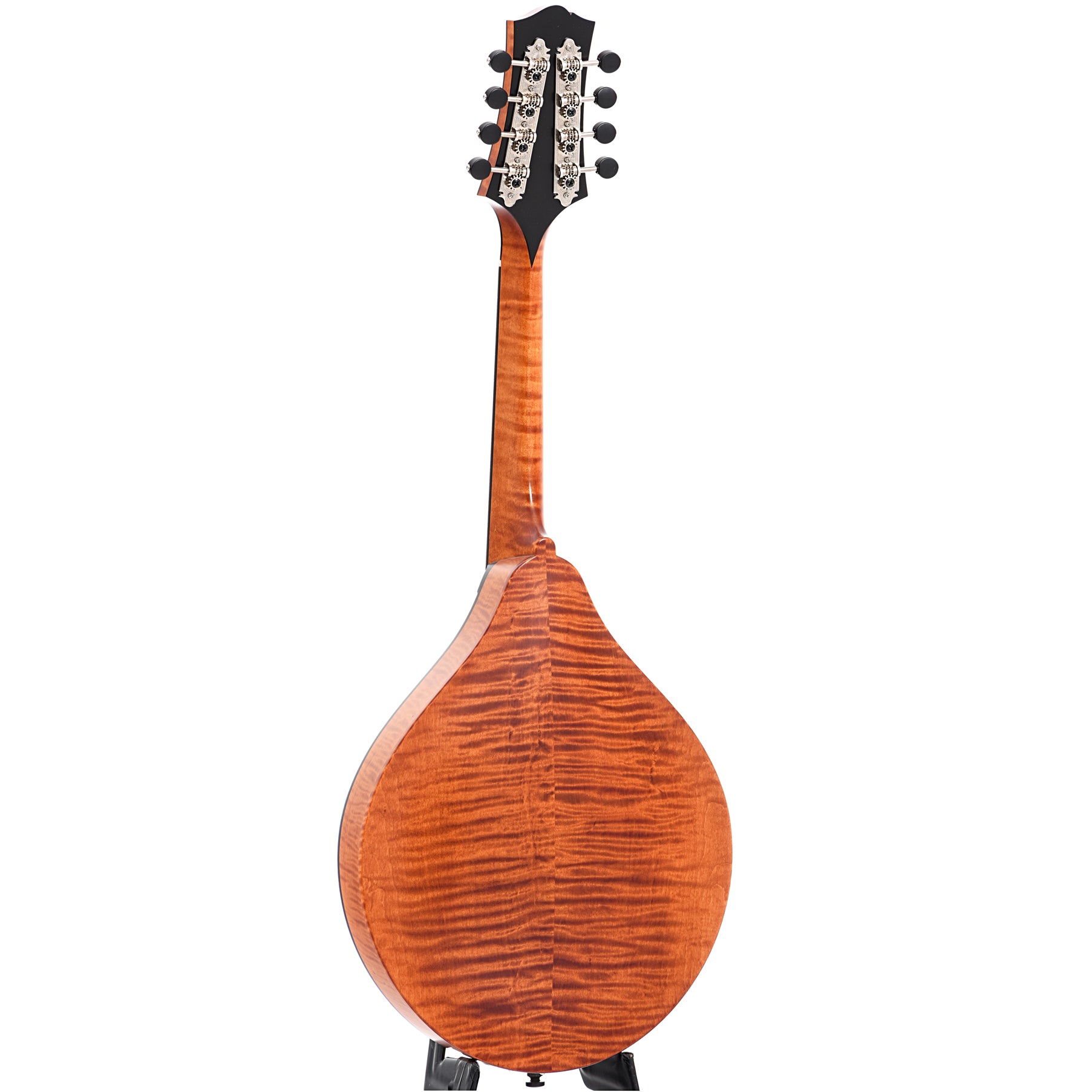 Full back and side of Collings MT A-Model Mandolin with Glossy Top, Honey Amber Finish, Tortoise Binding