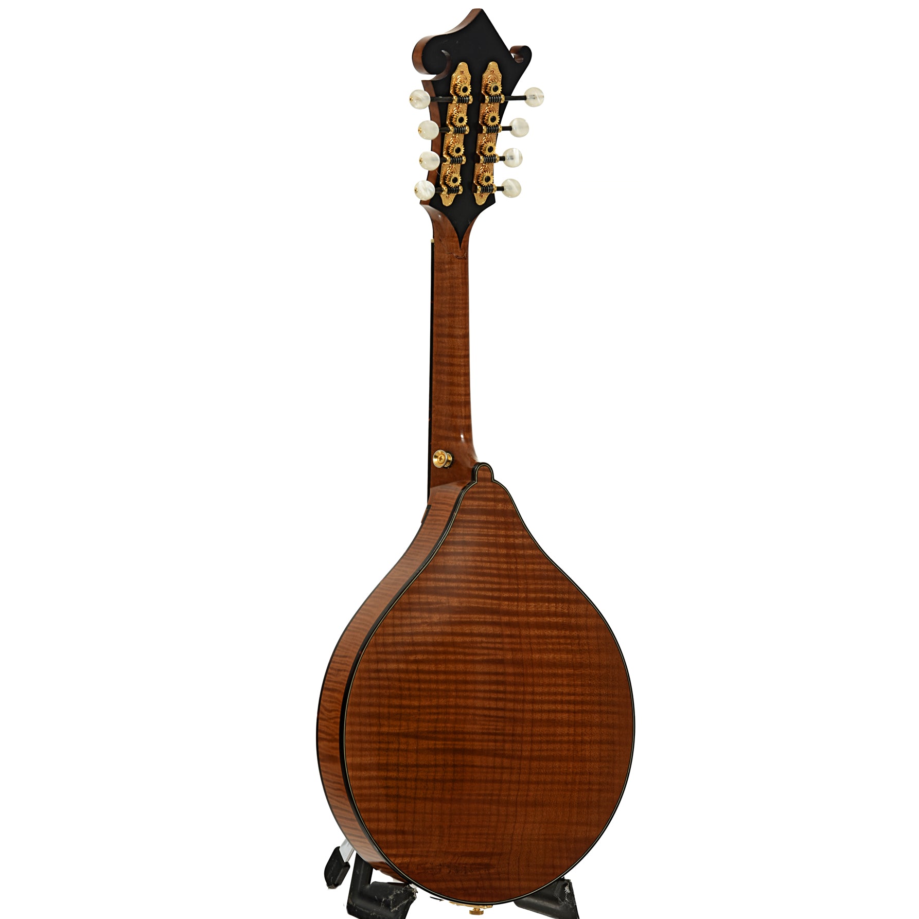 Weber Beartooth A Style Mandolin (2006) – Elderly Instruments