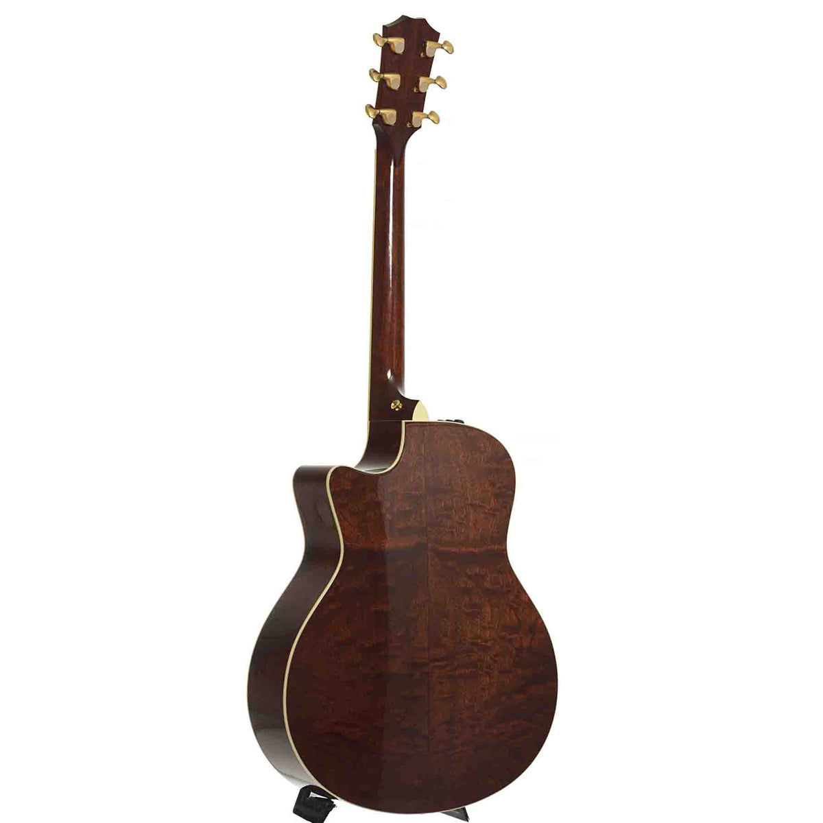 Full back and side of Taylor GSce-FLTD