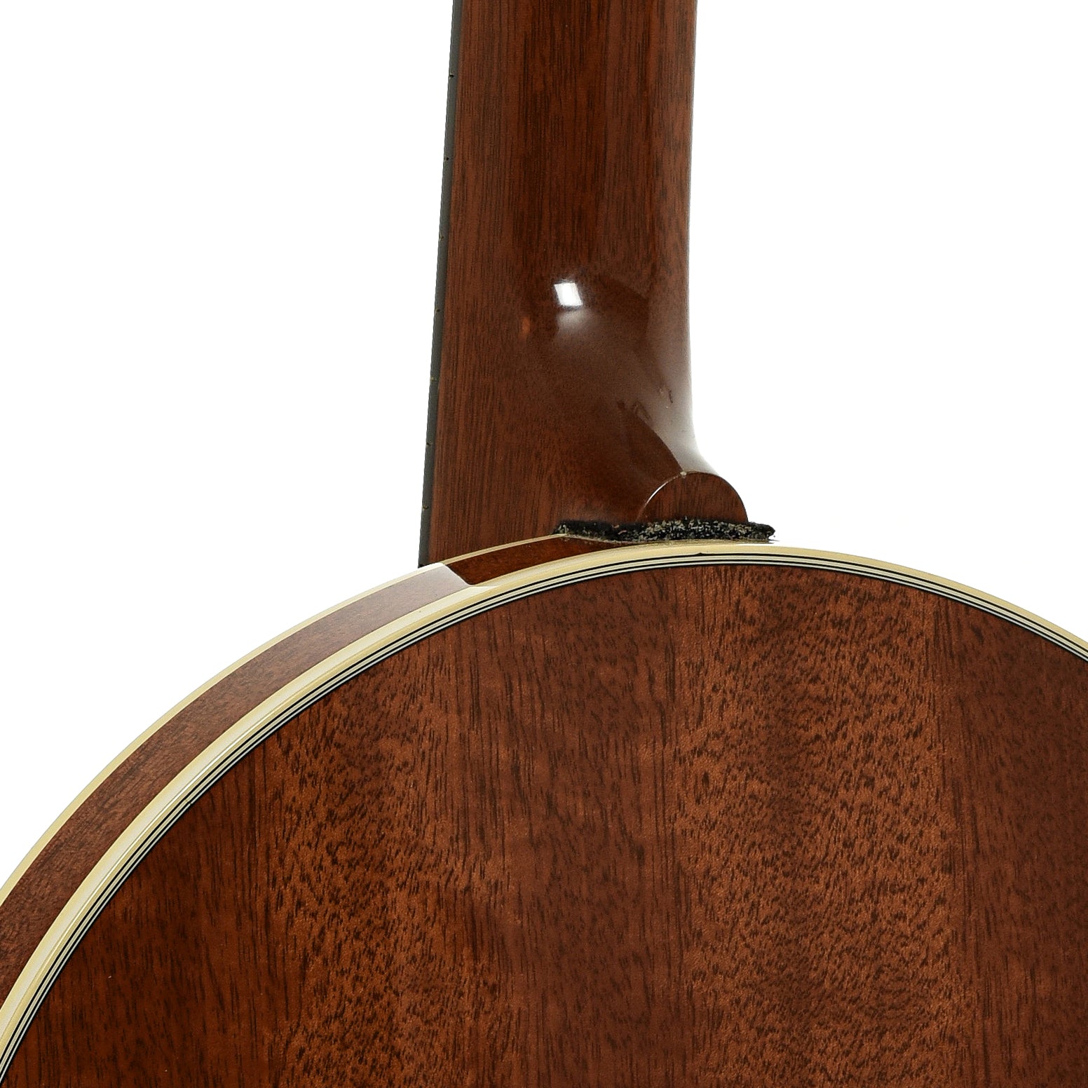 Neck joint of Deering Deluxe 6 Banjo Guitar