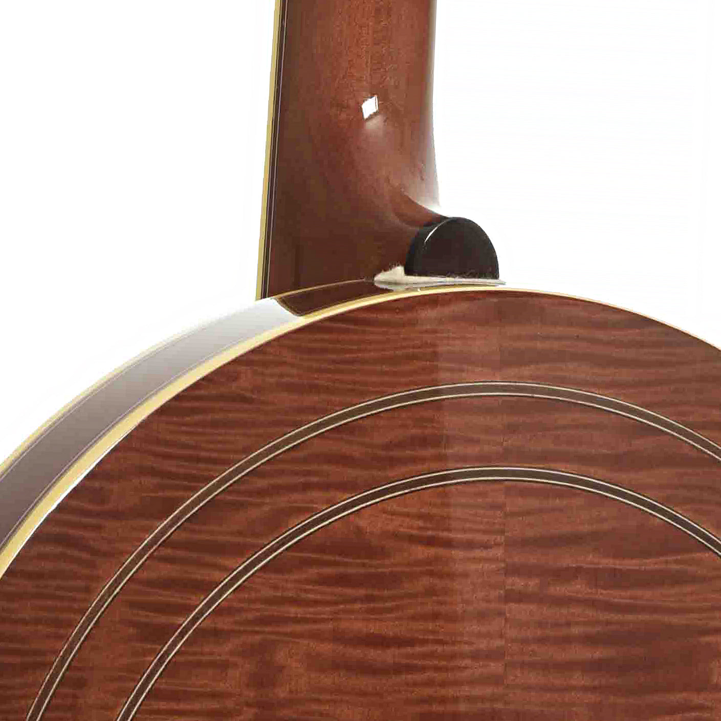 Heel and back of Resonator of Washburn B-16