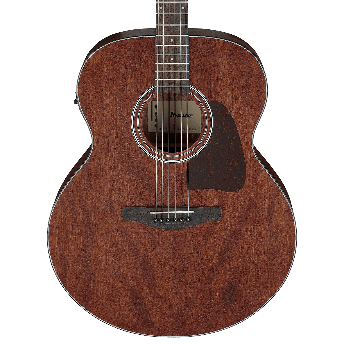 Ibanez AJ54E Artwood Jumbo Acoustic-Electric Guitar, Open Pore Natural