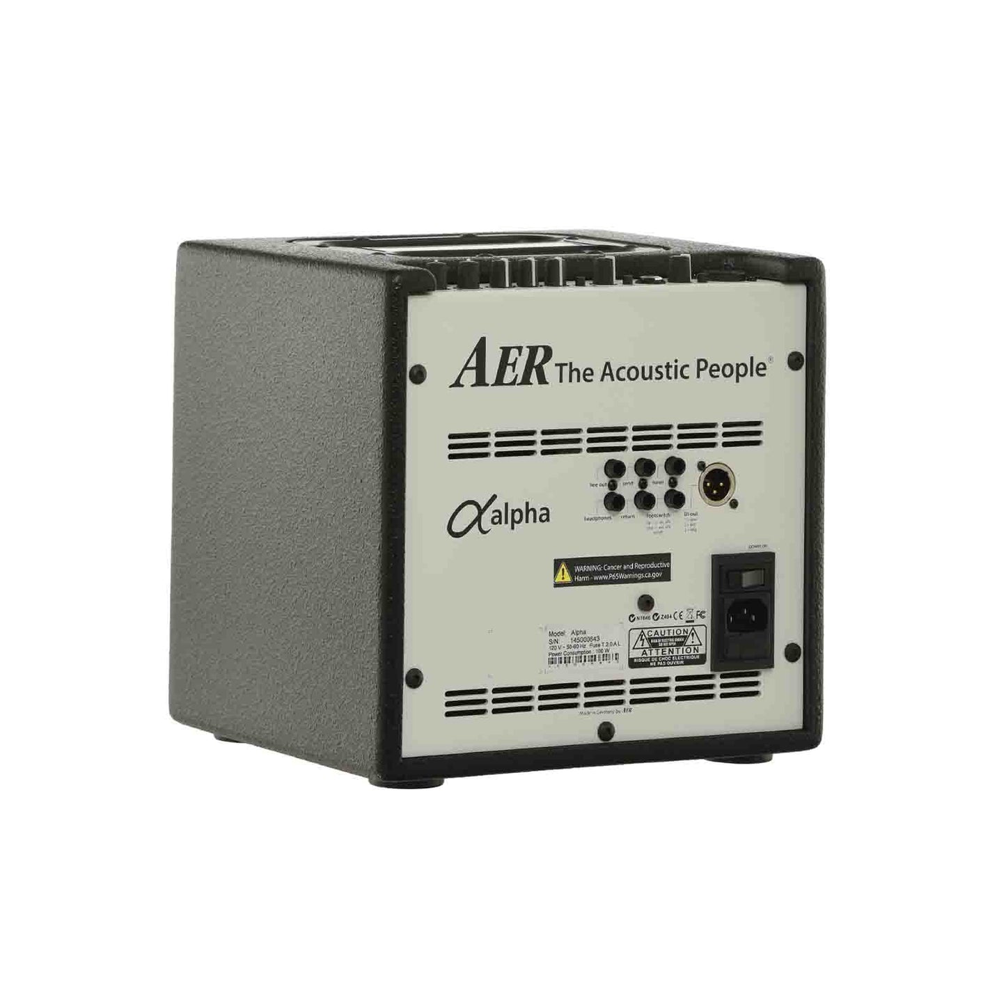 Back and side of AER Alpha Acoustic Amplifier