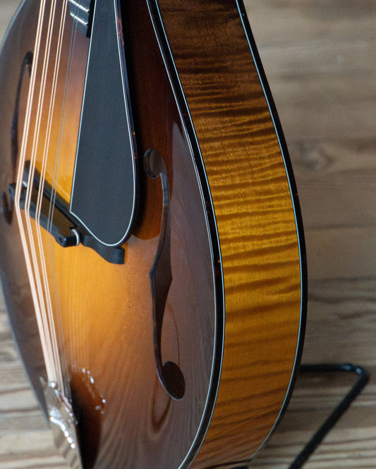 Showroom photo of Collings Custom MT2 Mandola & Case