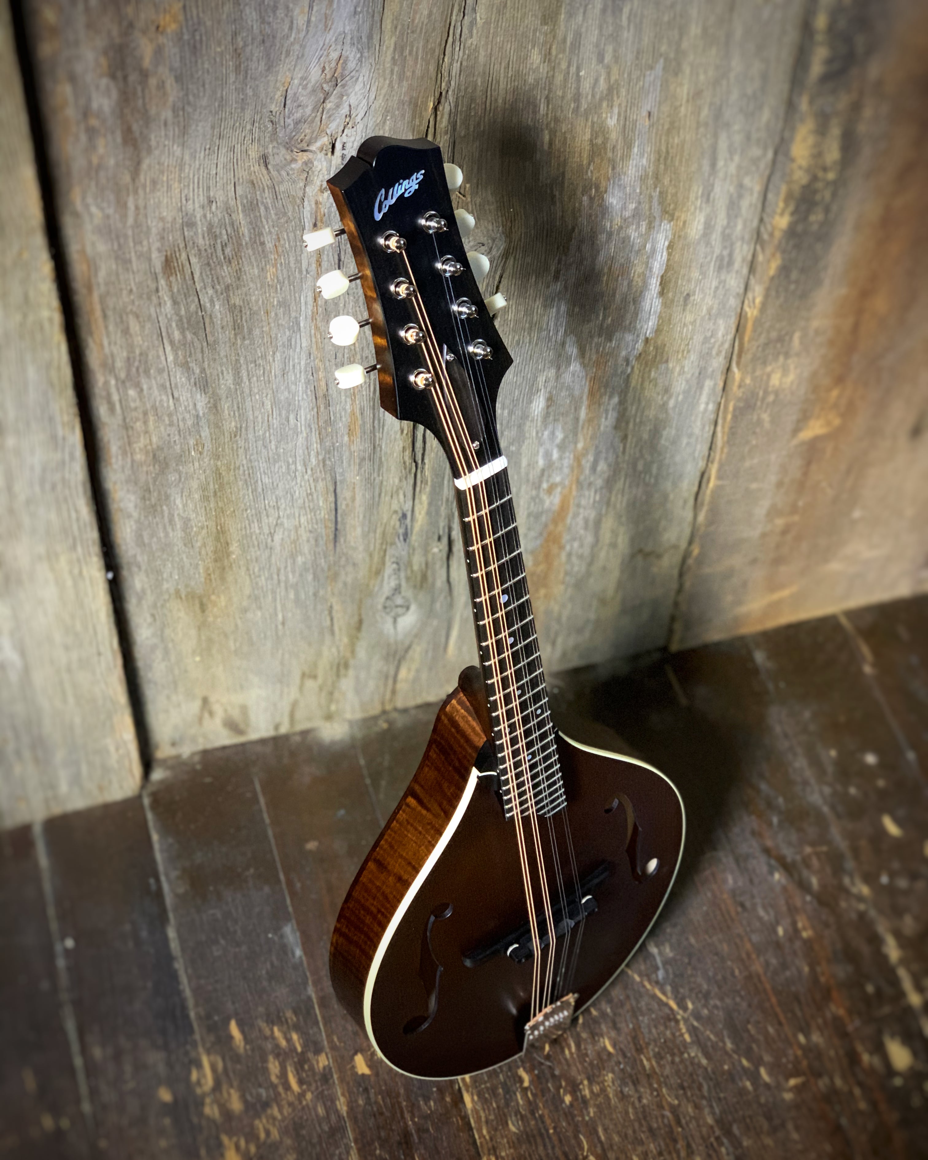 Coller's Instrument Collings – Elderly Instruments