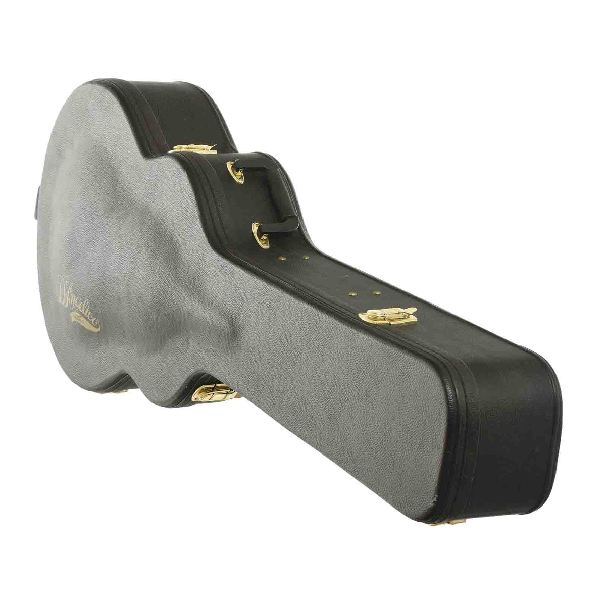 Case of D'Angelico EXL-1