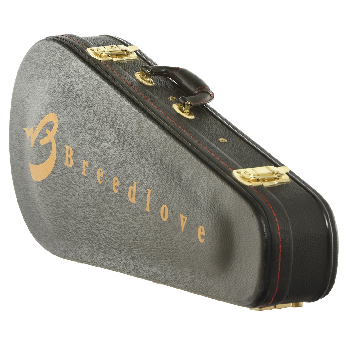 Case for Breedlove Legacy OO A-Style Mandolin