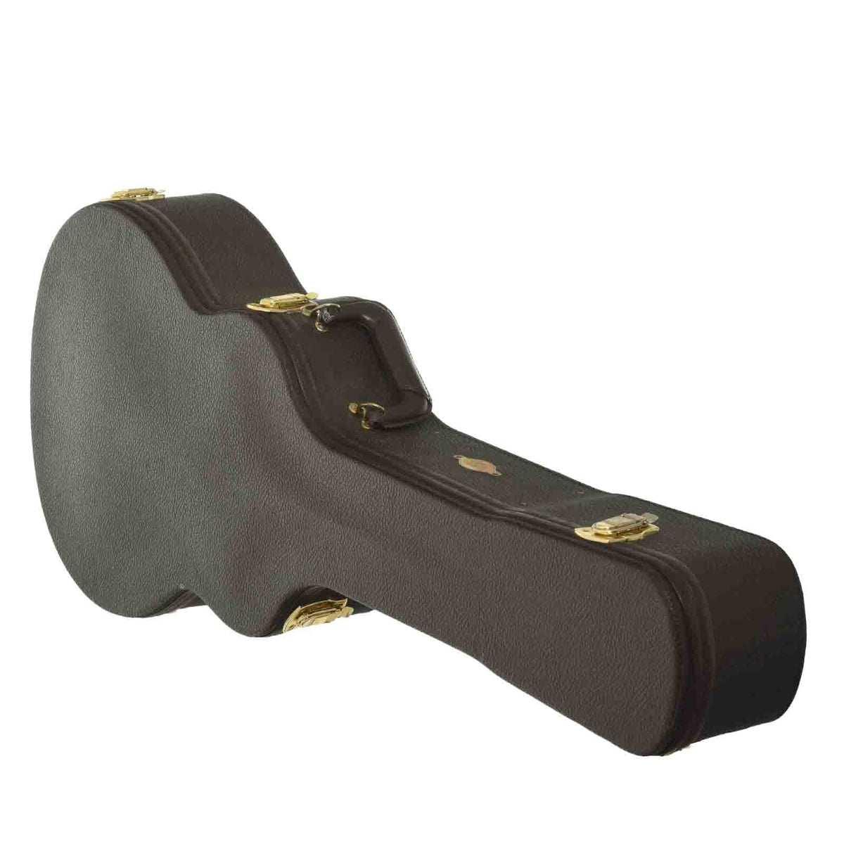 Case of Taylor 456CE