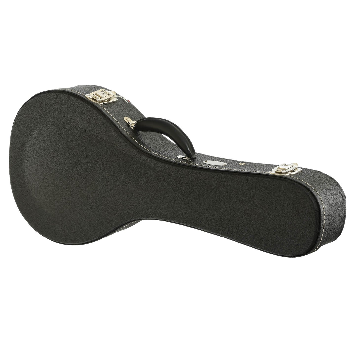 Case for Collings MT Mandola