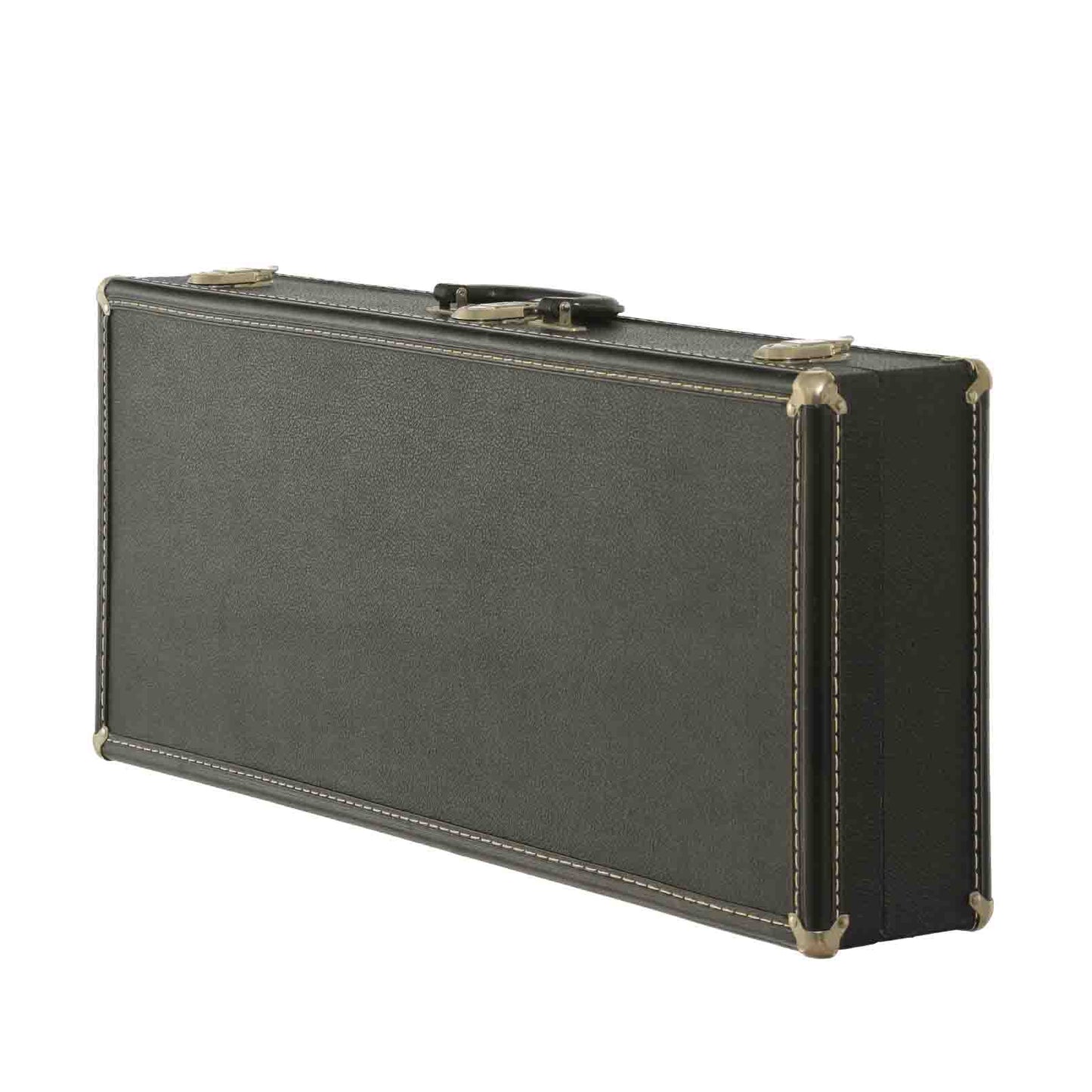 Case for Stiver Model F Mandolin 