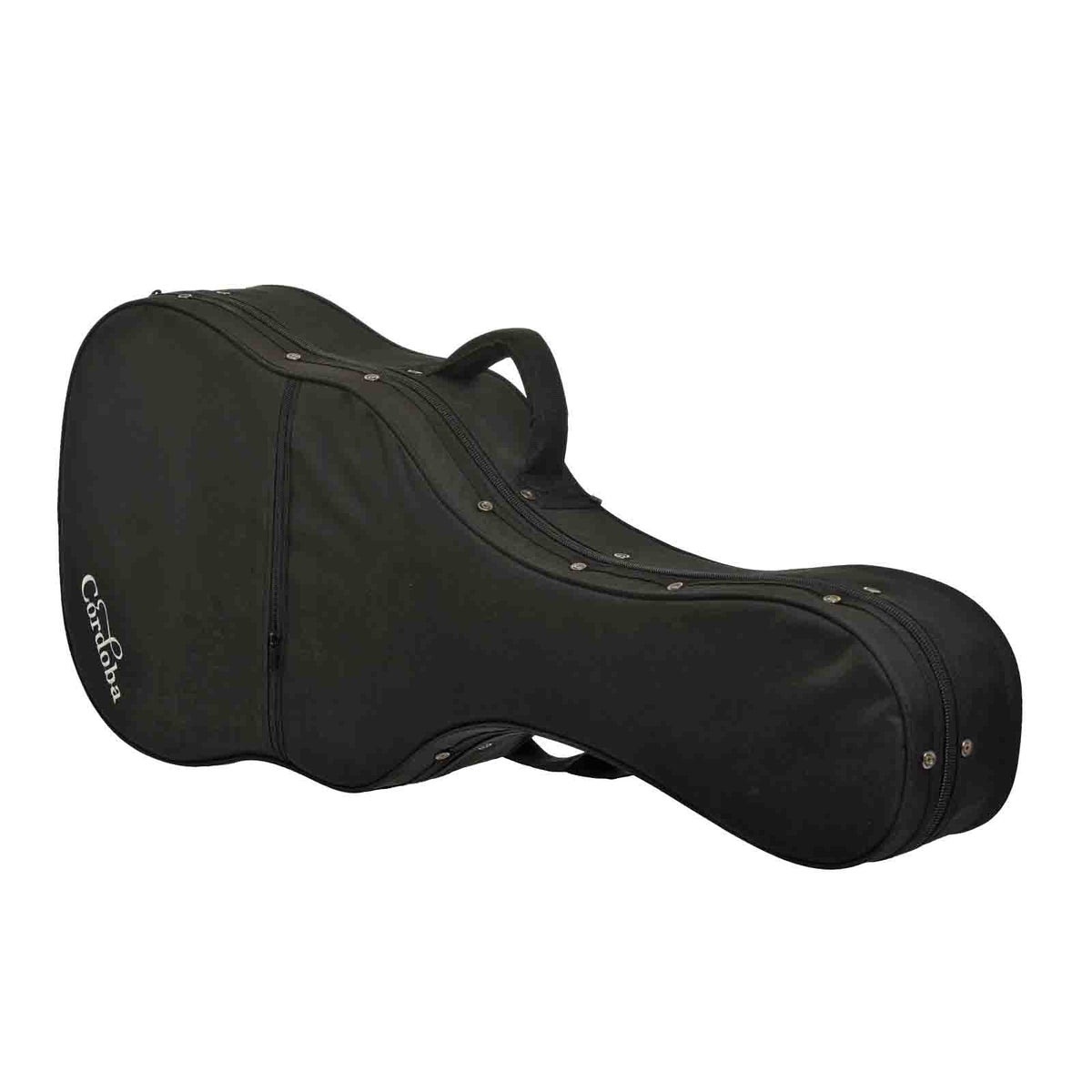 Case of Cordoba F-10 Flamenco Guitar