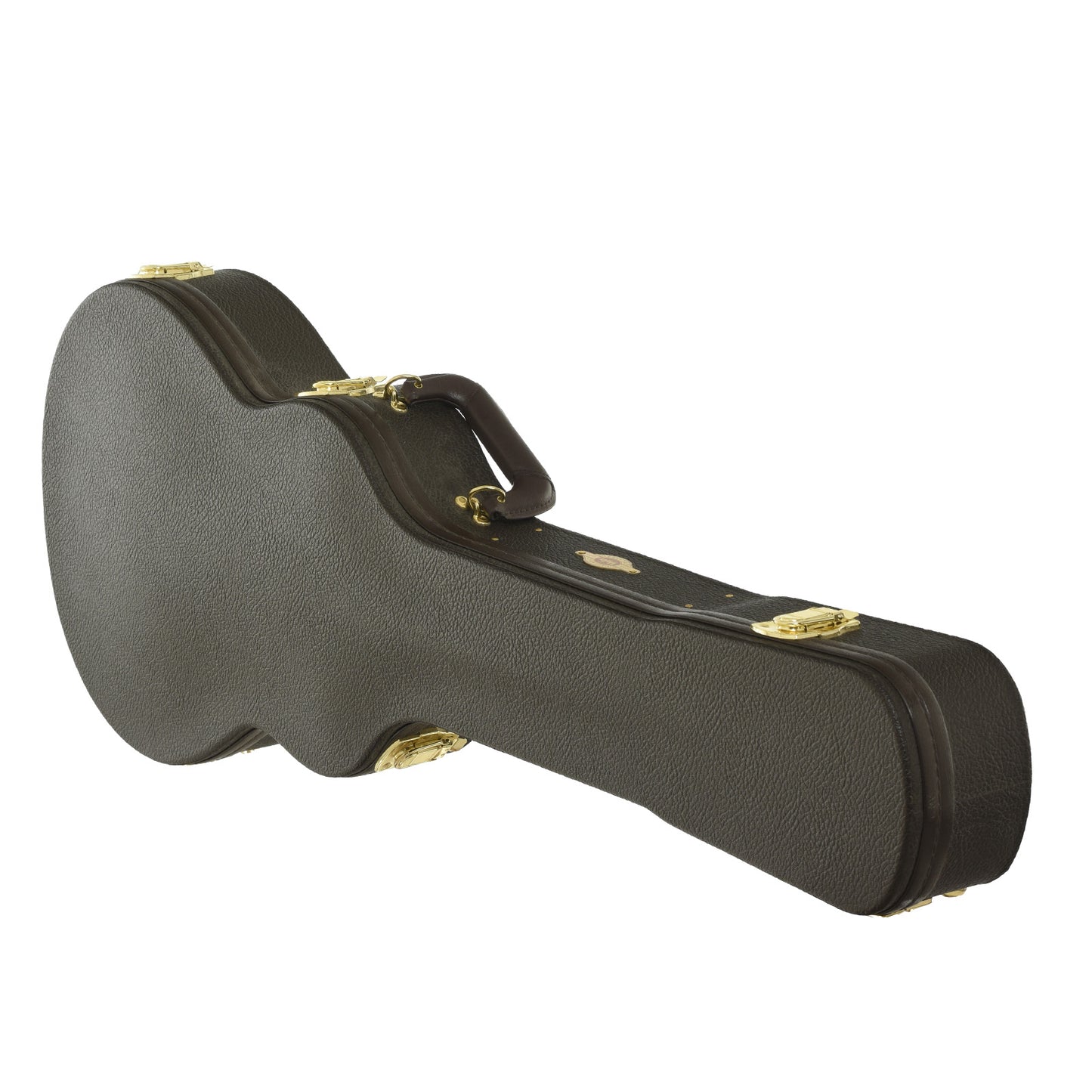 case for Taylor T5z Classic DLX Acoustic-Electric Guitar