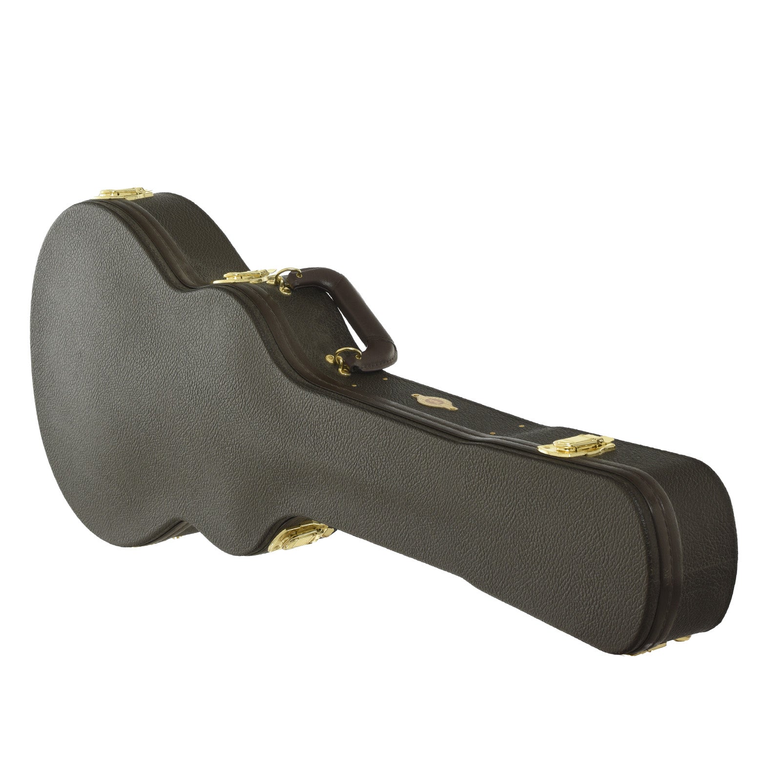 case for Taylor T5z Classic DLX Acoustic-Electric Guitar