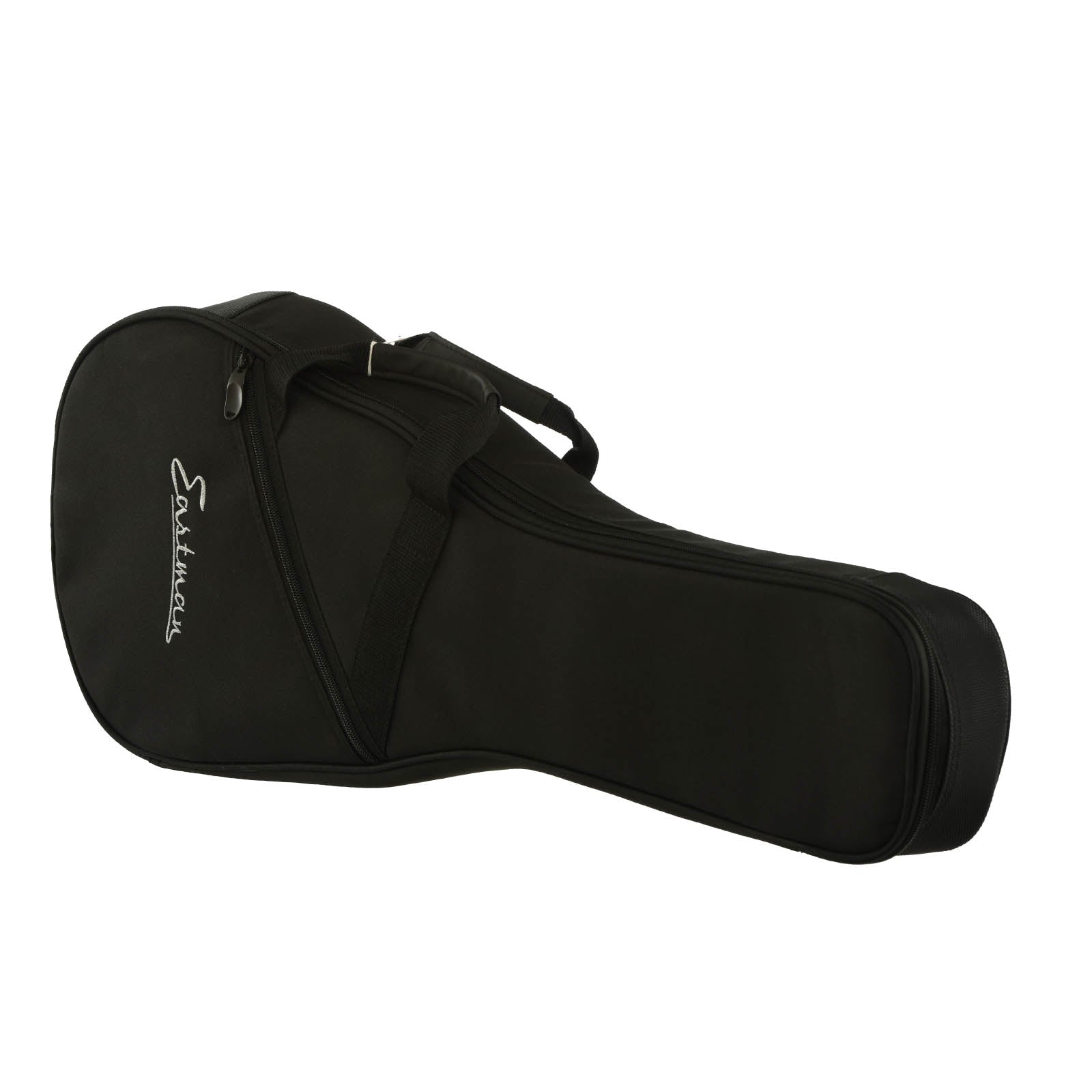 Gigbag of Eastman MD315 F-Style Mandolin