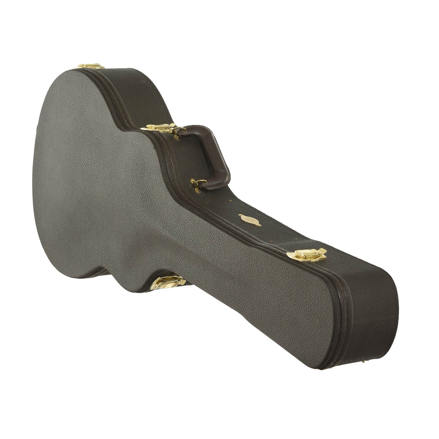 Case for Taylor GS Custom Acoustic Guitar