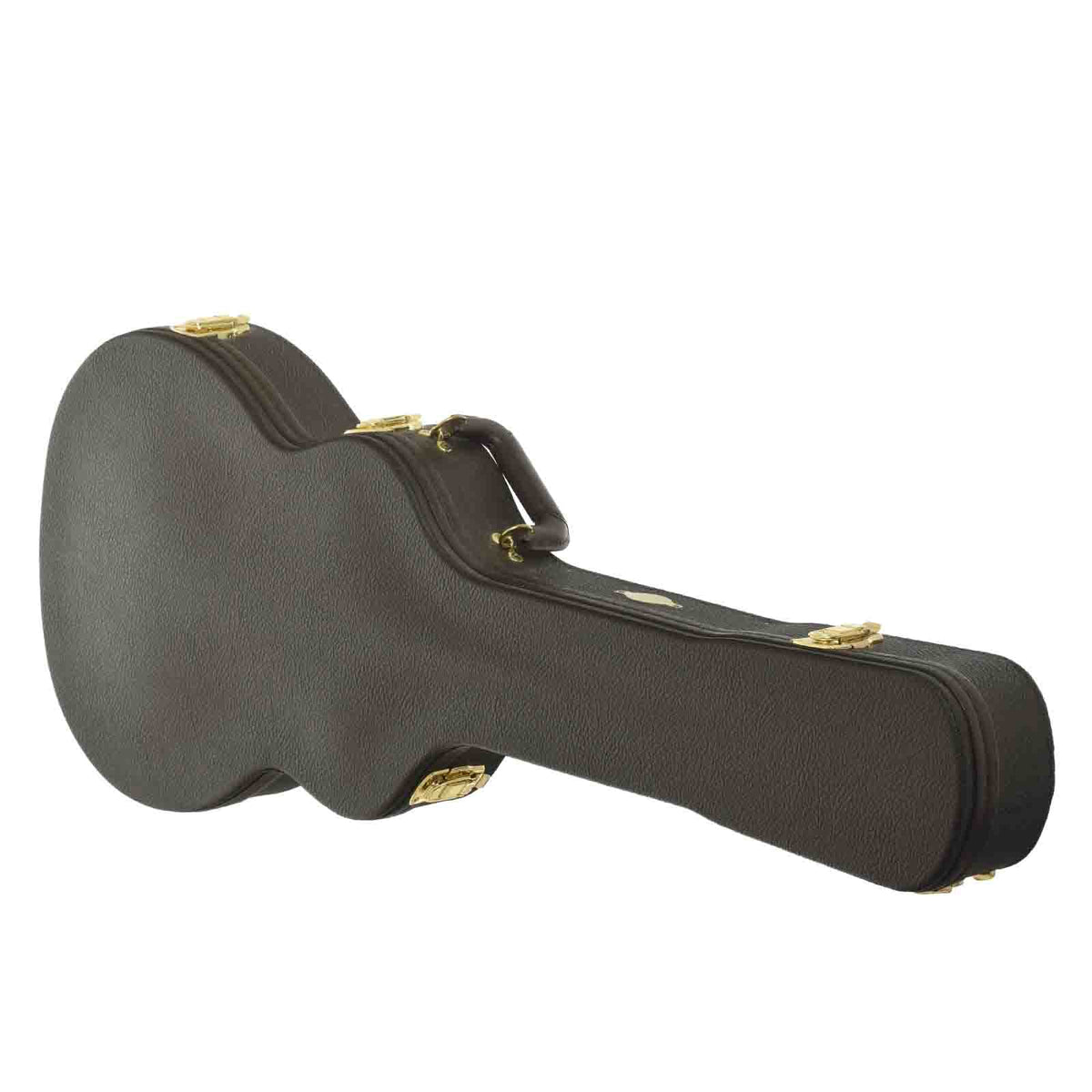 Case of Taylor T-5 Standard