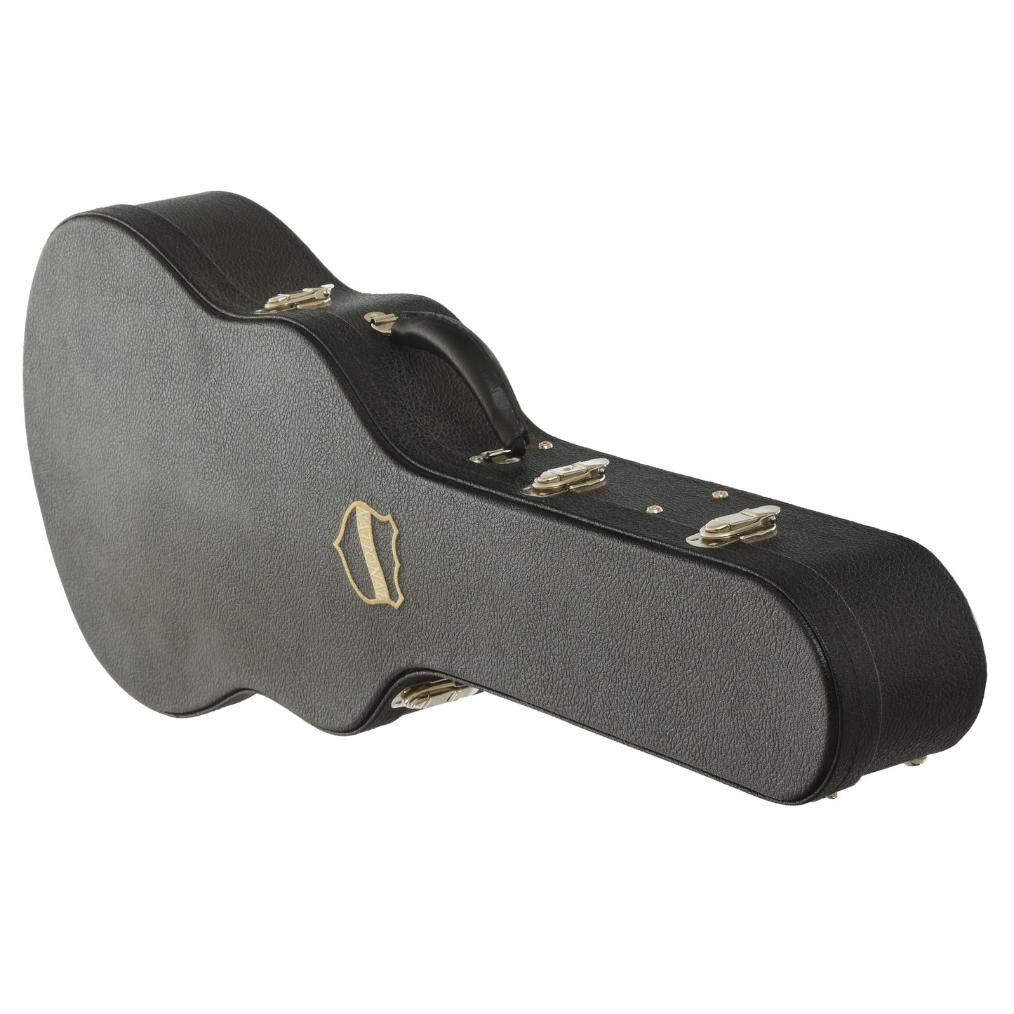 Case for National M-1 Tricone Resonator Guitar