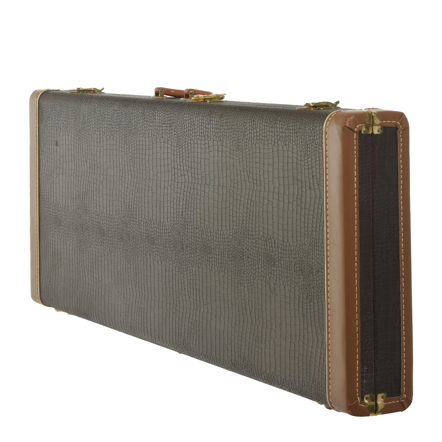 Case for Jerry Jones Electric Sitar 