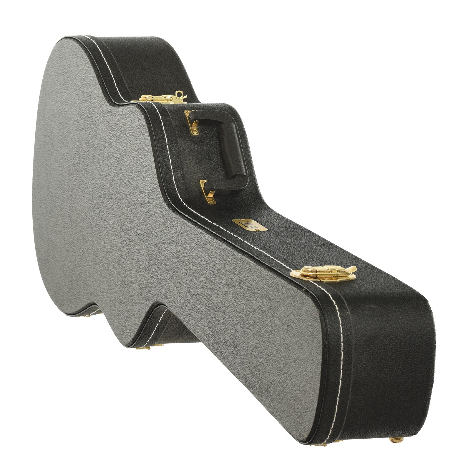 case for National Triolian Resophonic Guitar