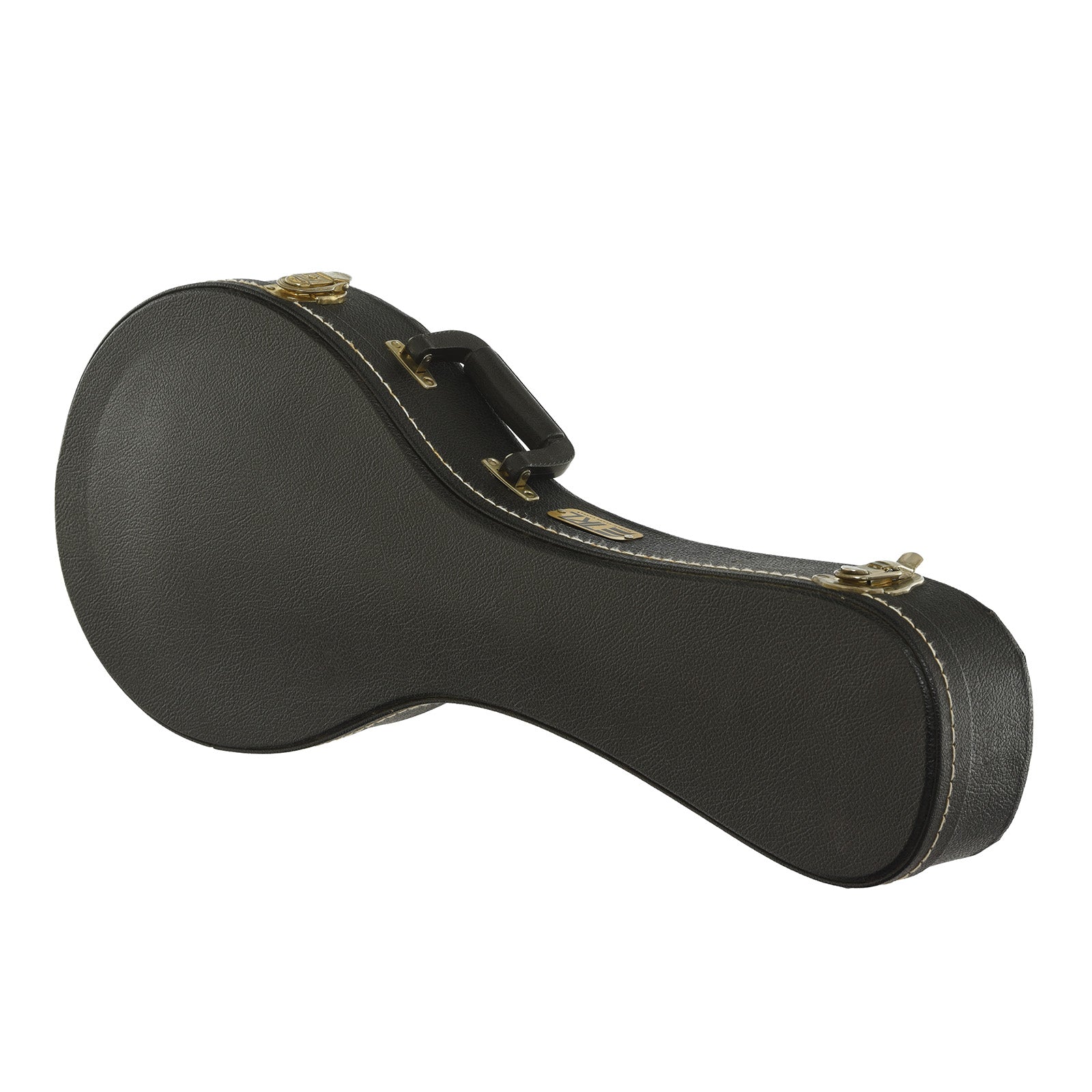 Case for Breedlove Quartz OF Mandolin 