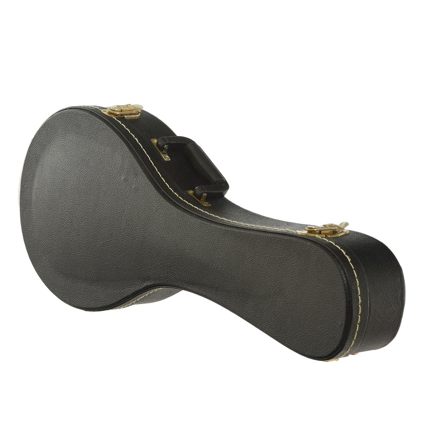 Case for Ellis A-5 Special Mandolin 