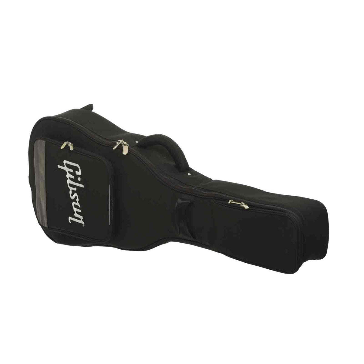 Case of Epiphone Dobro Hound Dog